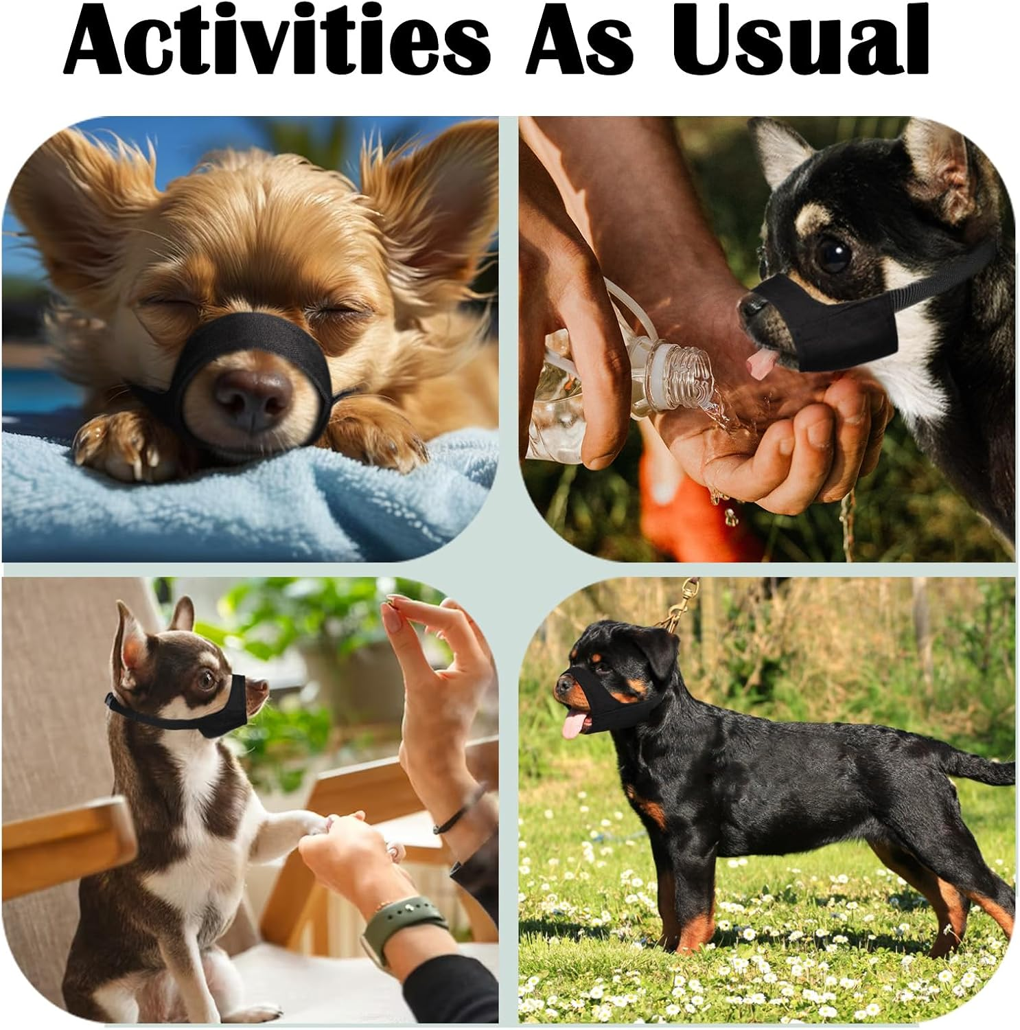 Mayerzon Short Snout Dog Muzzle for Small Medium Large Dog, Soft Muzzle for Chihuahua Shih Tzu American Bulldog for Grooming, Sturdy Oxford Mouth Guard anti Biting Chewing