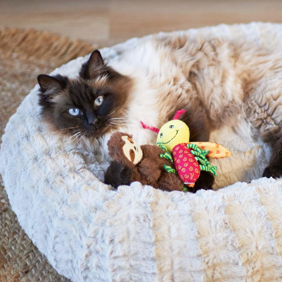 Kazoo Crinkle Ladybug Cat Toy image number 3