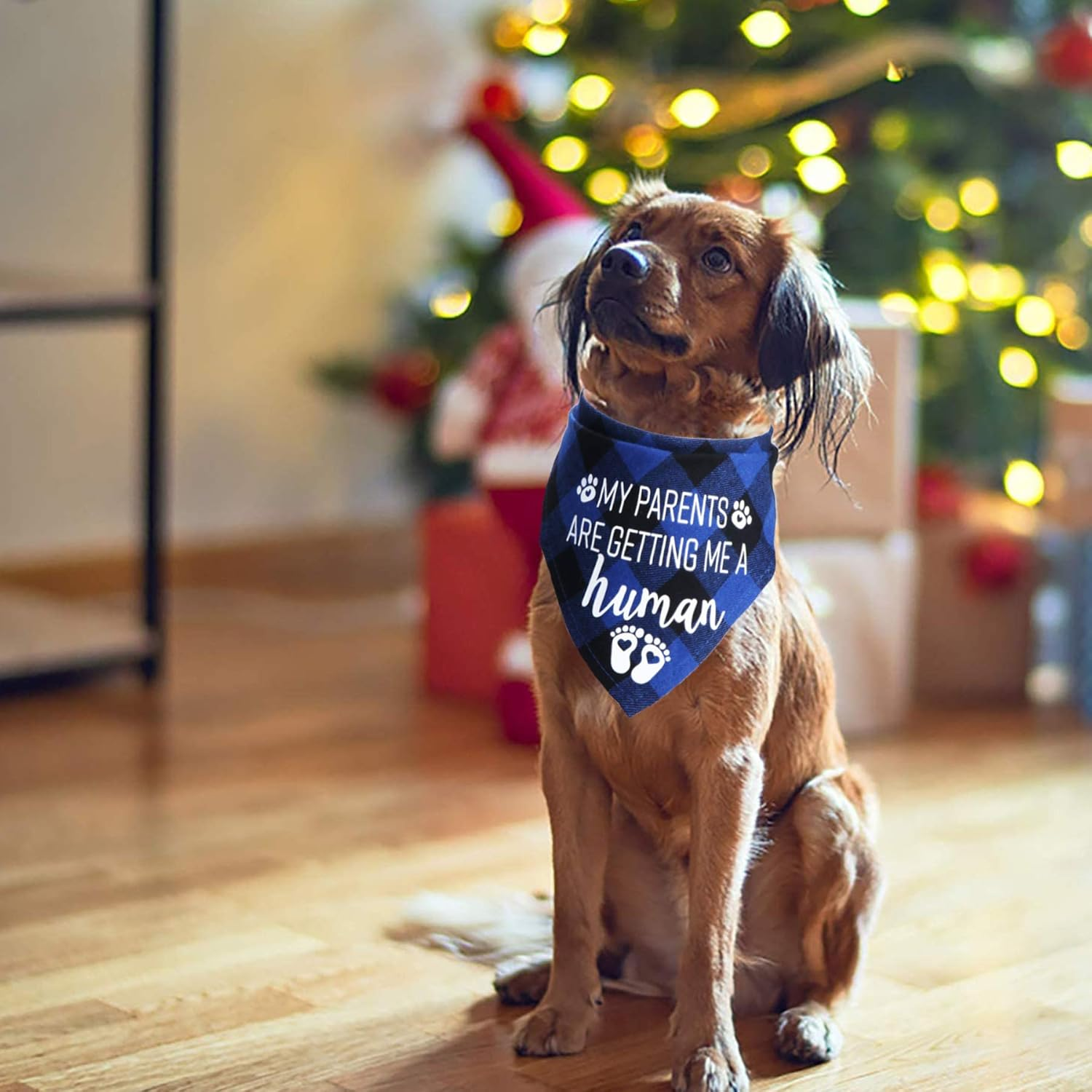 STMK Pregnancy Announcement Plaid Dog Bandana, Baby Announcement Dog Bandana, Gender Reveal Photo Prop for Dog Puppy (Blue, 24" X 16.8") image number 4