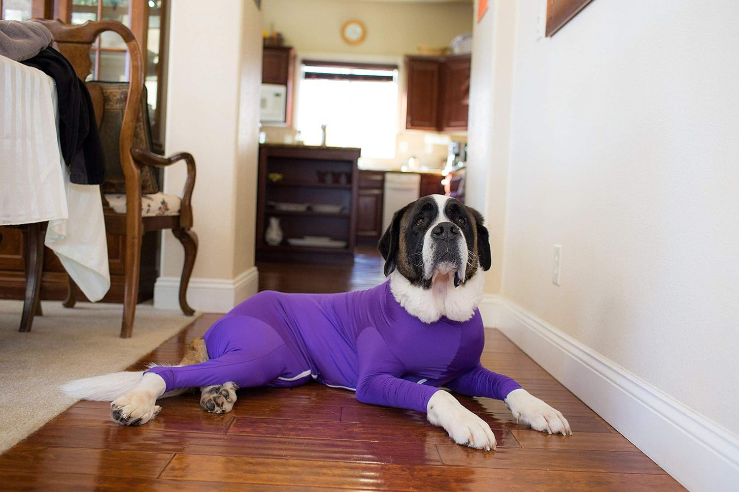 Shed Defender - Dog Onesie/Grooming -Contains the Shedding of Dog Hair, Reduce Anxiety, Replace Medical Cone image number 7
