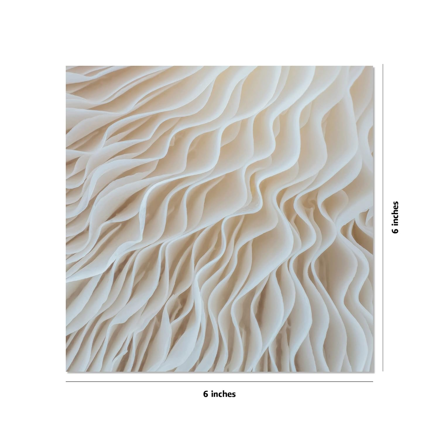 Origami Paper 500 Sheets Nature Photo Patterns 6" (15 Cm): Tuttle Origami Paper: High-Quality Double-Sided Origami Sheets Printed with 12 Different Designs (Instructions for 6 Projects Included) image number 2