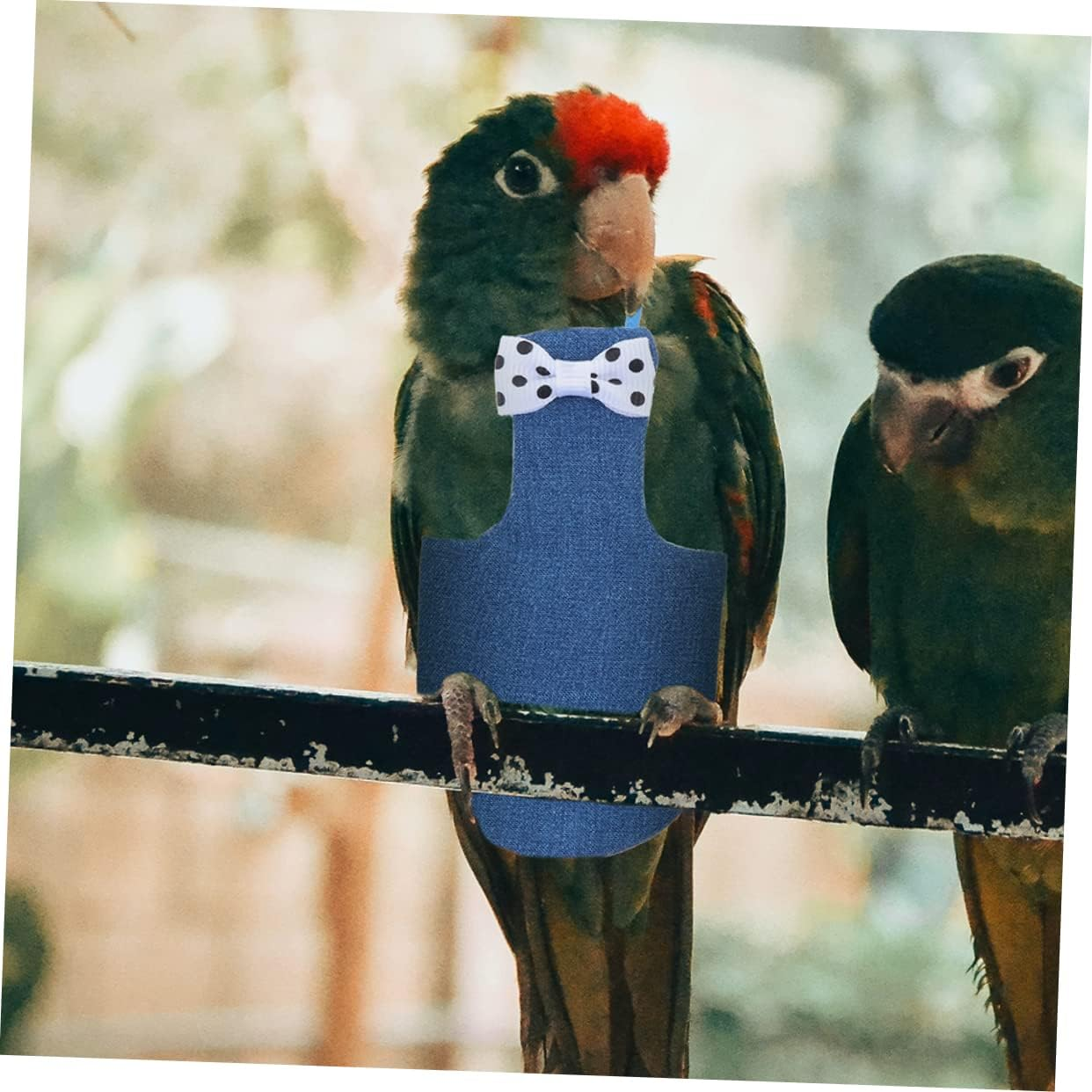 Beavorty Macaw Nappies Bird Flight Suit Diaper Bird Diaper Suit Inner Layer Parrot Clothes image number 3