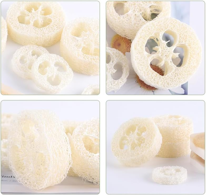 Natural Loofah Sponge Slices for Soap Making, 20 Pcs Natural Loofah Slices Natural Loofah Cuts, Natural Loofah Luffa Loofa Slices, Natural Loofah Luffa Loofa Slices Natural Loofah Slices image number 6