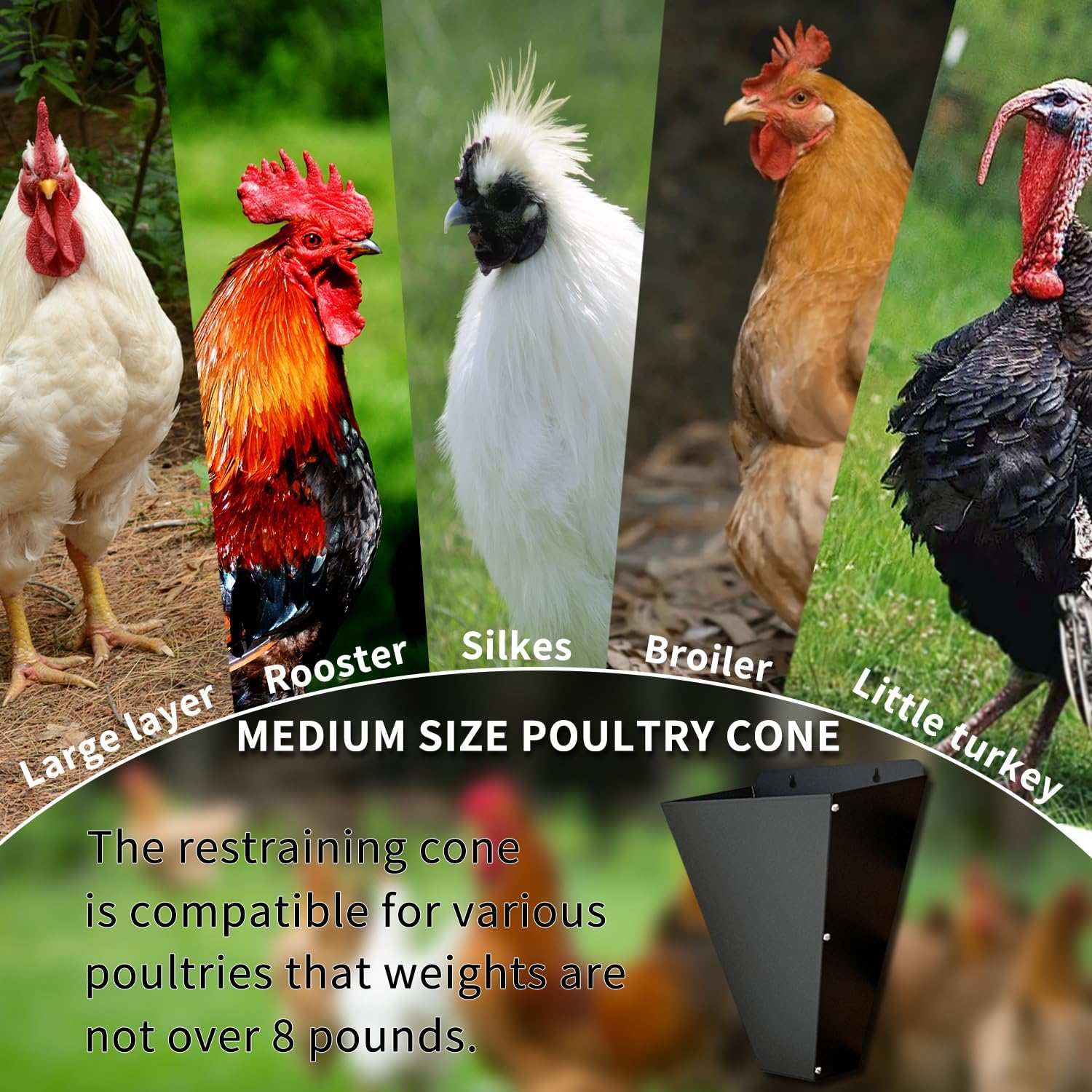 Medium Size Chicken Cone, Heavy Duty Steel Poultry Restraining Cones for Chicken, Flat Back Funnel Design, Killing Cone for Layers, Broilers, Roasters, Turkeys up to 8 Pounds, Easy to Clean