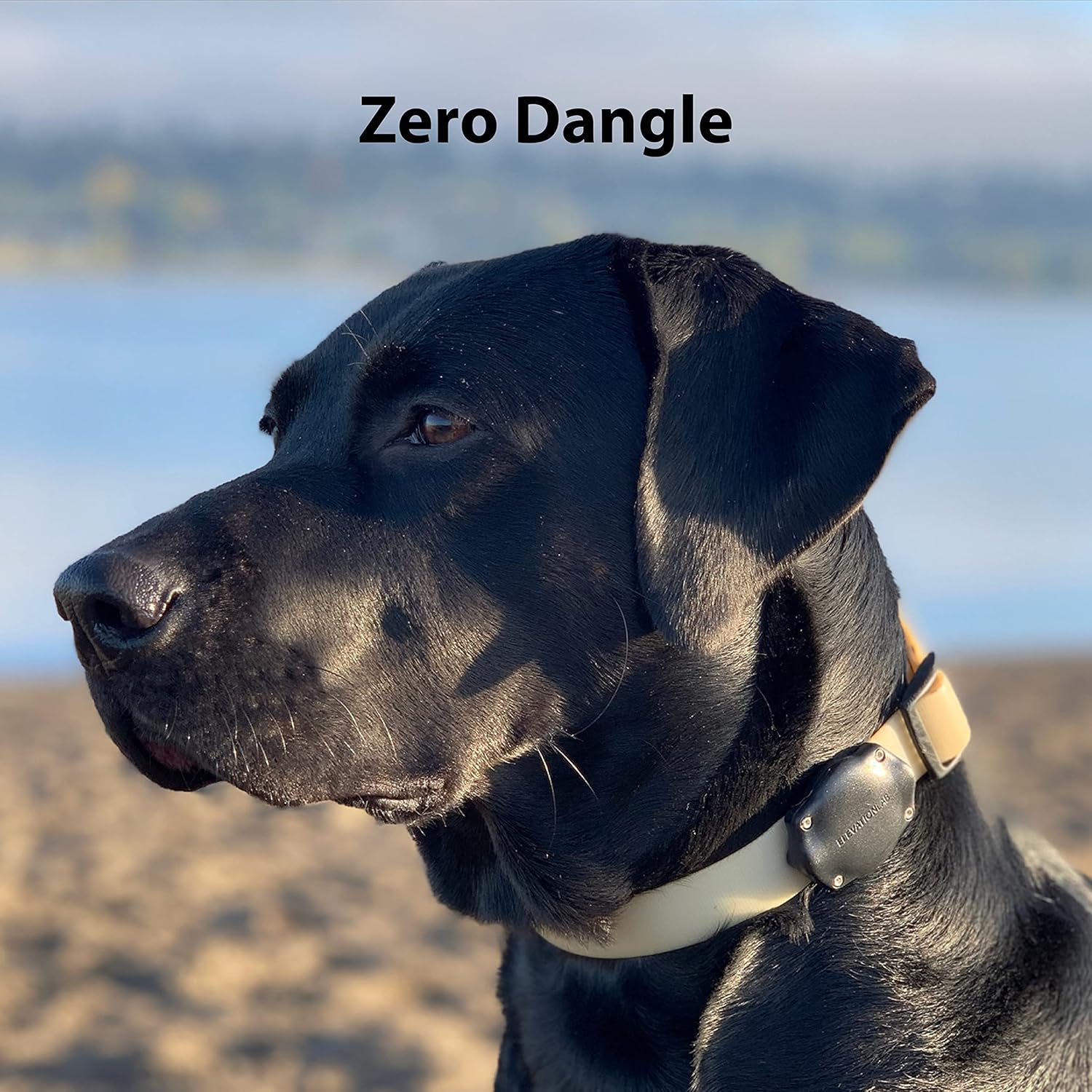 Elevation Lab Tagvault Pet (4 Pack) - the Original Airtag Dog Collar Waterproof Mount, Ultra-Durable, Fits All Width Collars |, Black image number 6