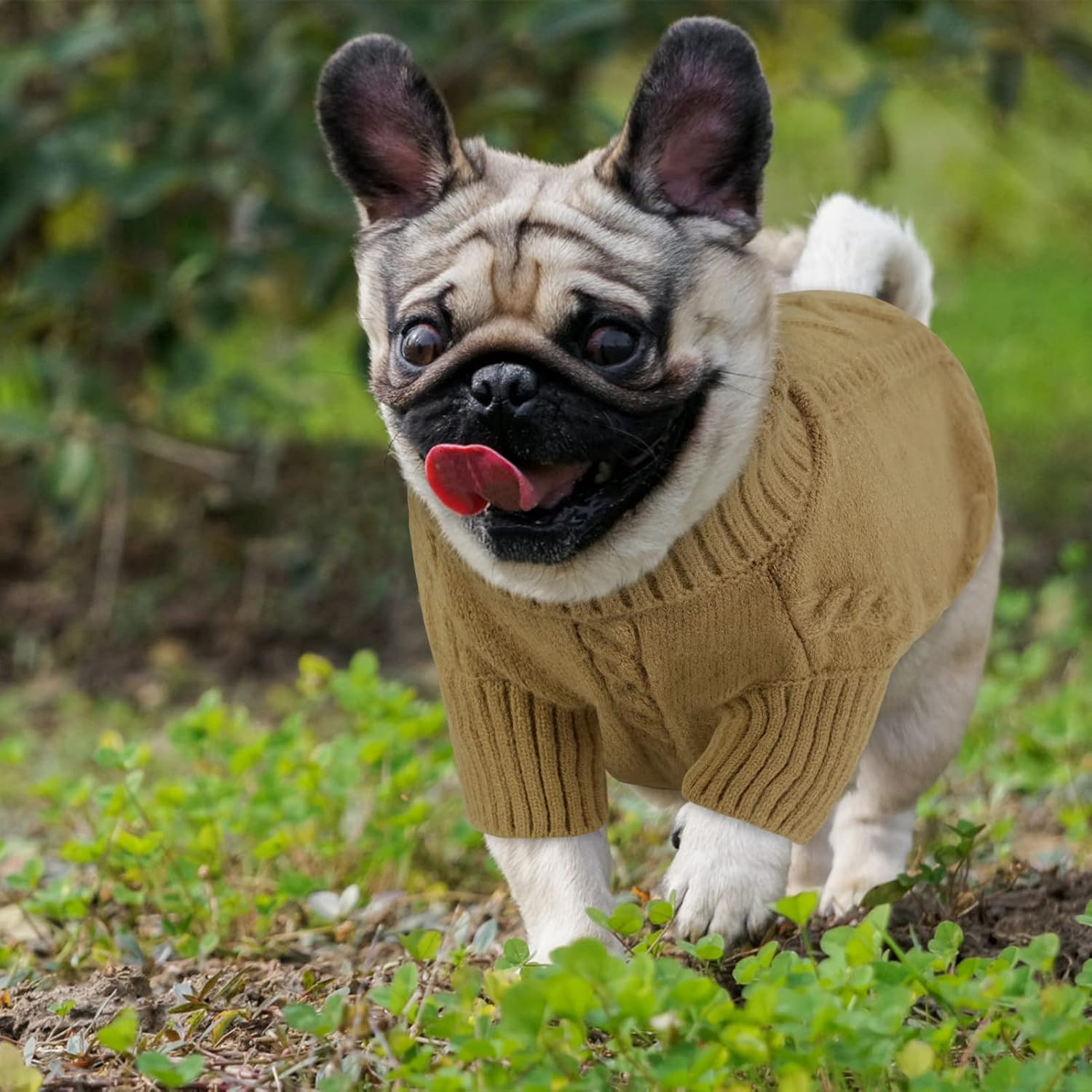 Queenmore Knitted Dog Sweater, Brown, XL