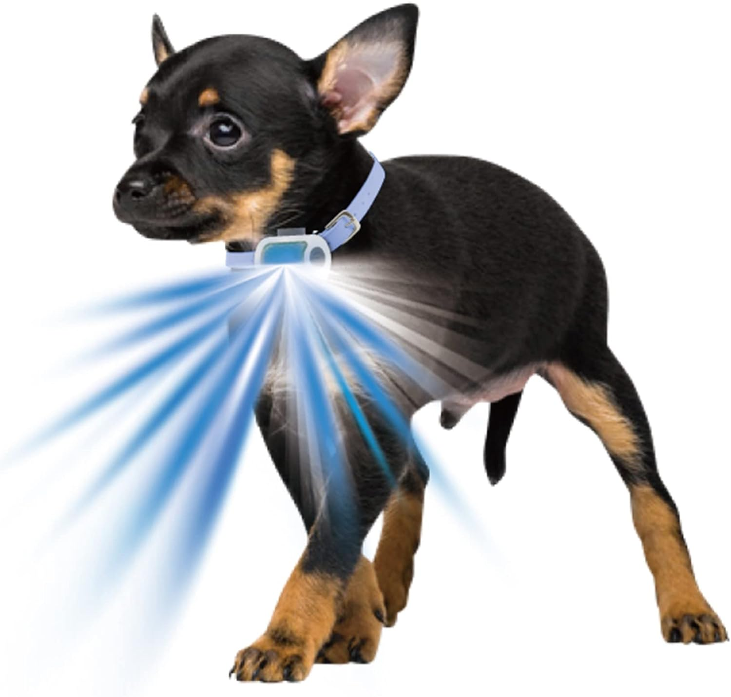 PLATZ Hyper Blinkers EX Collar image number 4