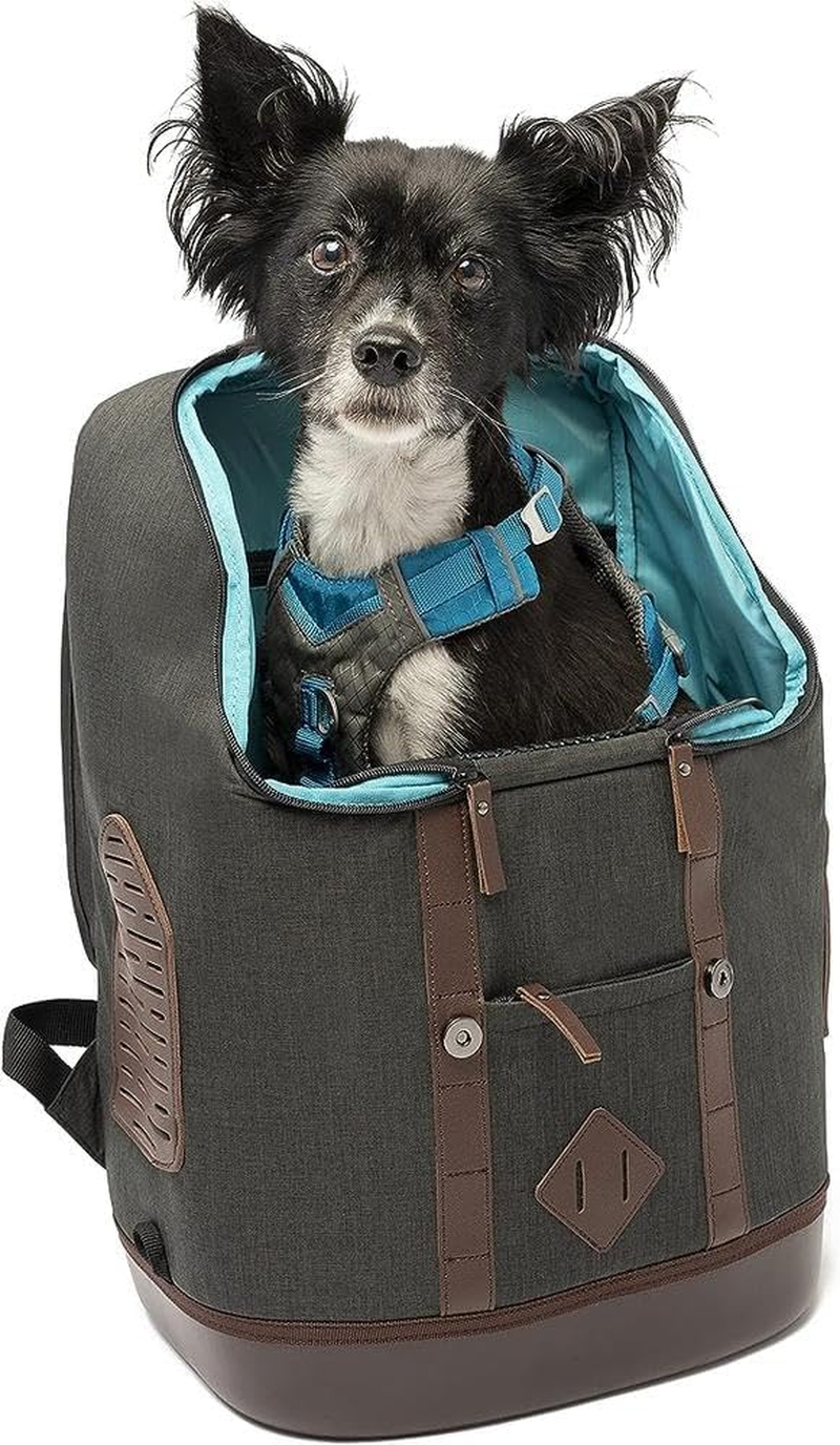 Kurgo Dog Carrier Backpack for Small Pets - Dogs & Cats | TSA Airline Approved | Cat | Hiking or Travel | Waterproof Bottom | G-Train | K9 Ruck Sack | Red | Grey (Heather Charcoal Grey)