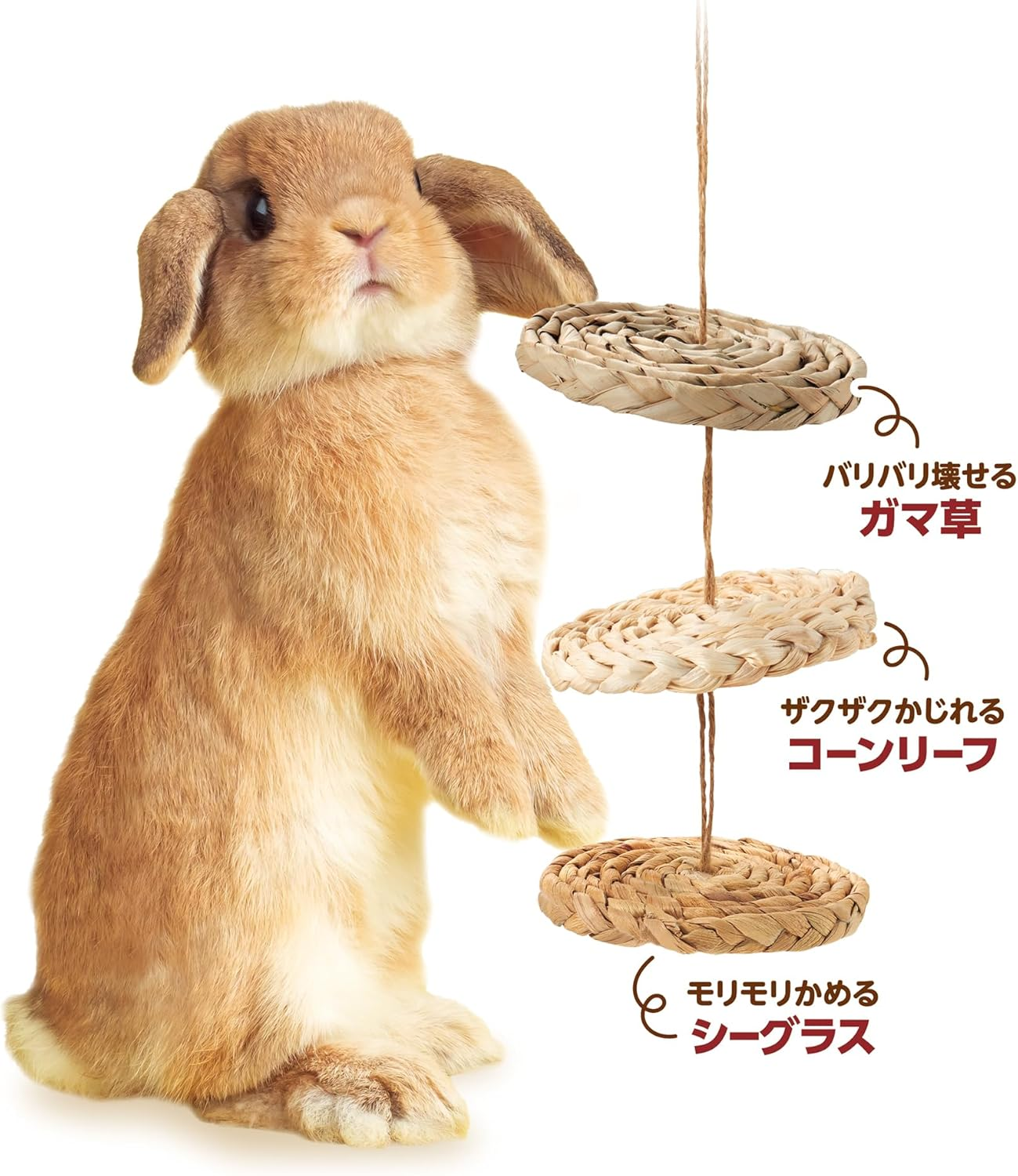 Minimal Land ML-683 Variety Disc, Ideal for Stress Relief and Teeth Care, Fits Rabbits, Guinea Pigs, Chinchillas, Hamsters image number 2