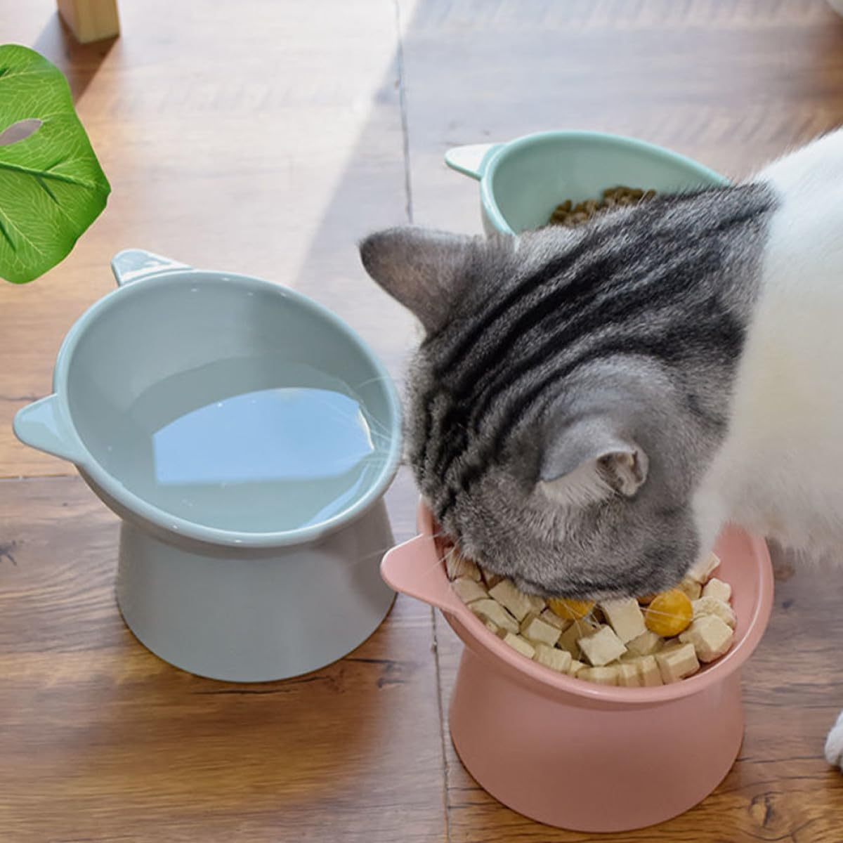 Gadpiparty 2Pcs Elevated Cat Feeding Bowls with Neck Guard, Raised Plastic Pet Bowls for Cats and Kittens, Anti-Spill Pink and Blue Compact Food Dishes for Daily Use image number 1