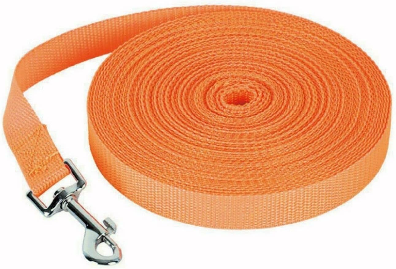 16.4Ft (5M) Long Lead-Training Leash/Long Line Nylon Comfortable Durable Dog Leash for Dog/Puppy Training,Play,Camping,Extra Long Dog Leash - Orange