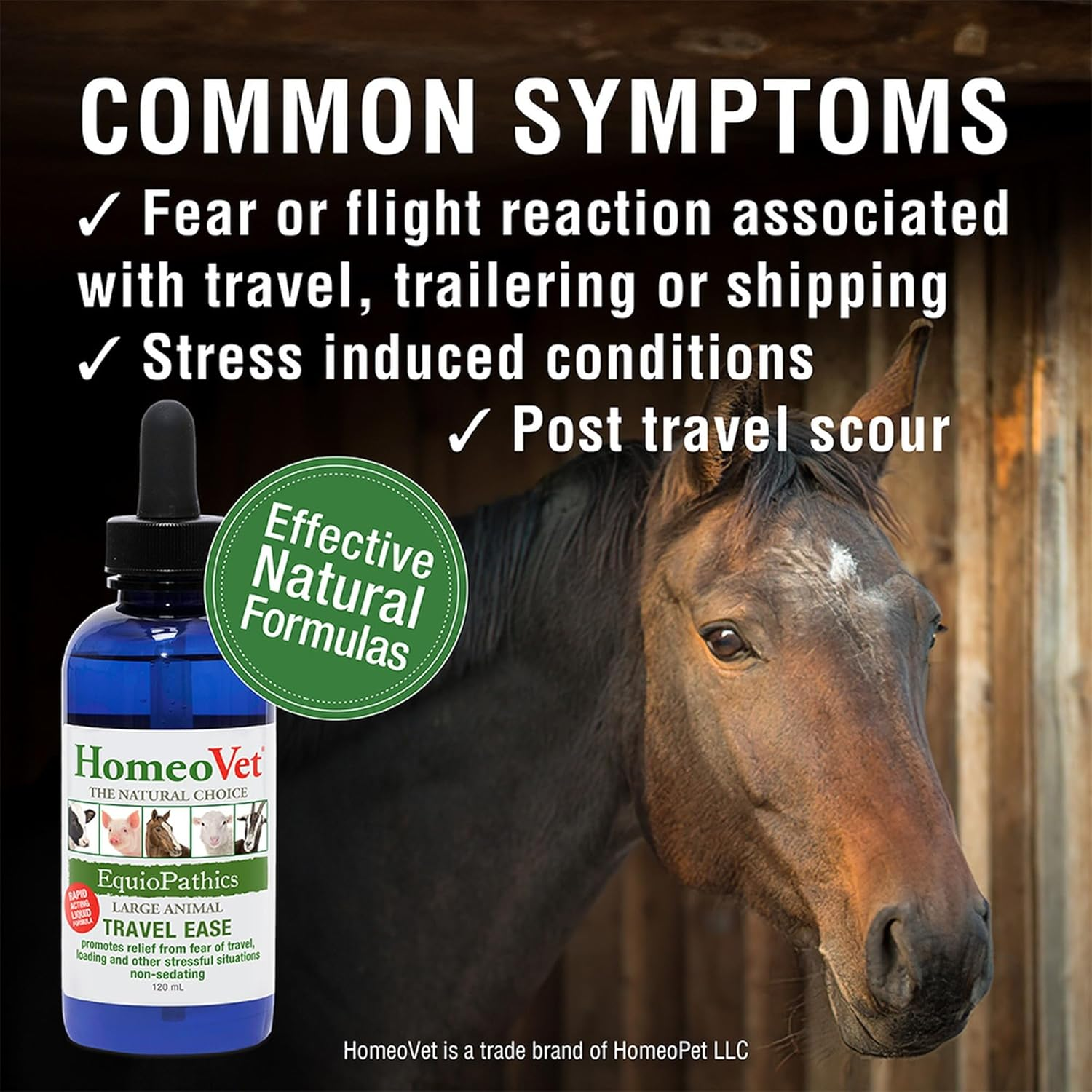 Homeovet Equine Travel Ease 120 Ml - Calming Support for Horse Travel or Transport. a Relaxation Supplement for Horse Anxiety Associated with Travel, Loading, Shipping, Transport and Horse Anxiety image number 4