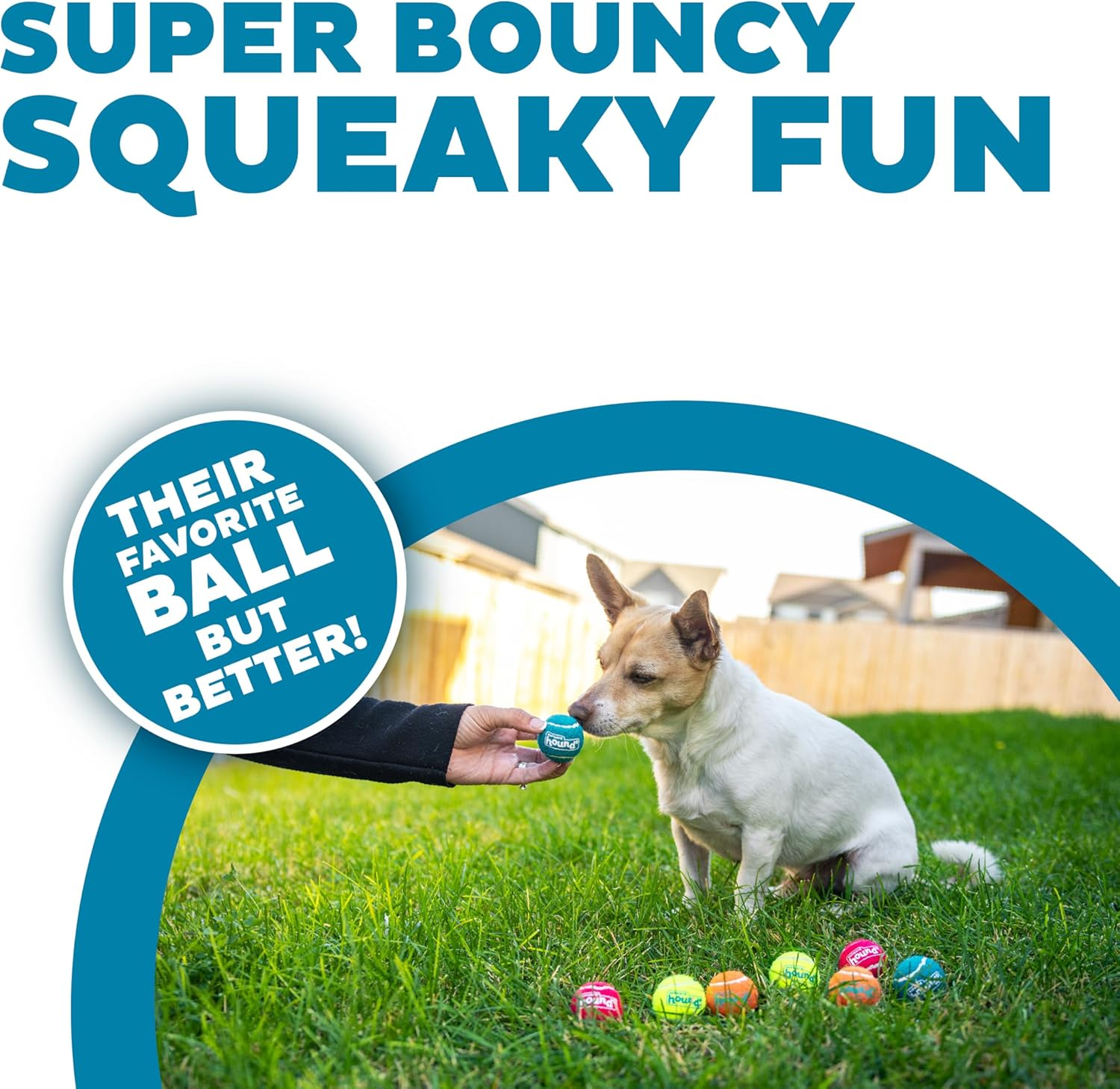 Outward Hound Squeaker Ballz Fetch Dog Toy, XS, 8-Pack image number 1