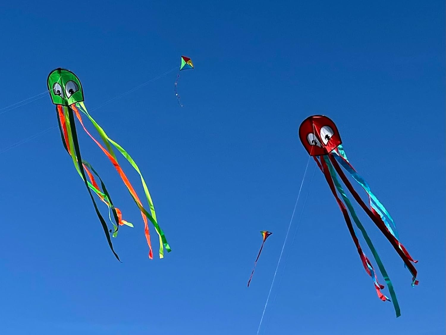 G&uuml;nther Flugspiele Octopus 1163 Single Line Kite, Approx. 250 X 33 Cm, Children'S Kite Made of Robust Polyester, Includes Handle and Cord, Outdoor Toy for Children from 4 Years, in 2 Assorted Colours image number 4