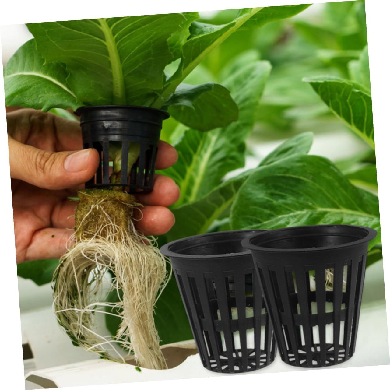 Gogogmee 5Pcs Mesh Hydroponic Planting Baskets Slotted Cups for Indoor Outdoor Gardening image number 5