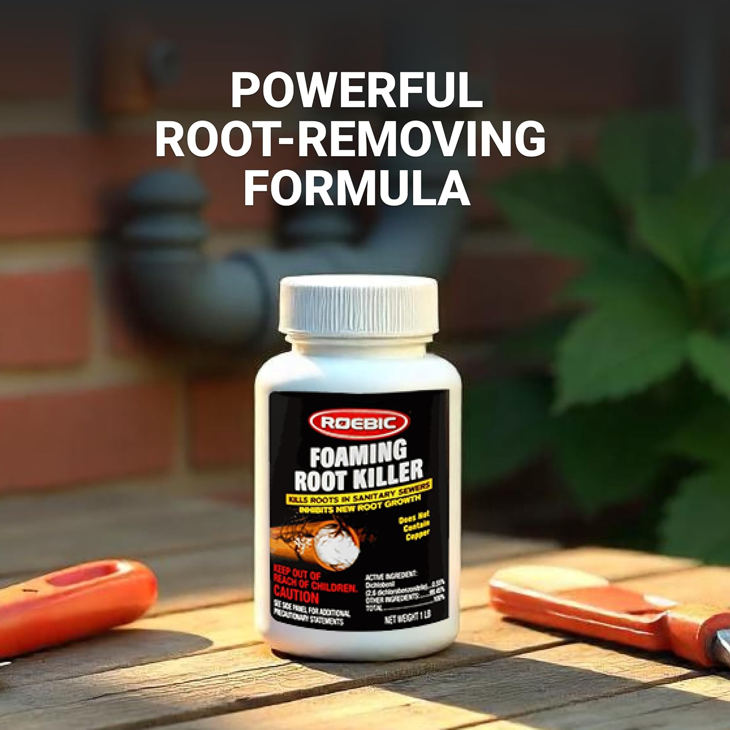 Roebic FRK-1LB Foaming Root Killer: Clear Pipes, Stop New Growth, Safe for All Plumbing - 1Lb, White, Granules