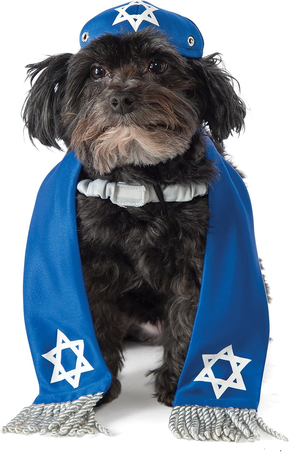 Rubie'S Yarmulke and Tallis Dog Costume, M-L image number 1