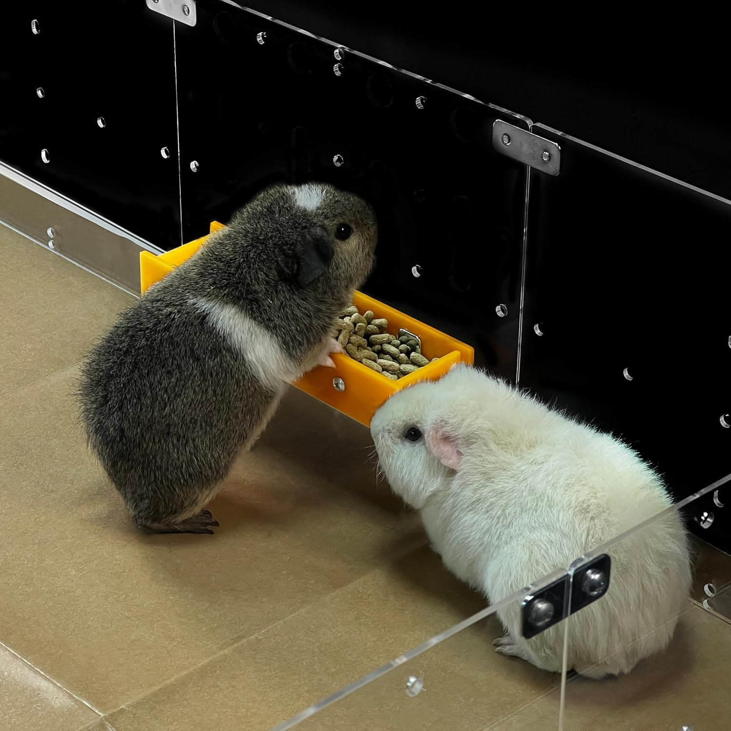 Guinealoft&trade; Food Feeder Yellow - Say Goodbye to Traditional Bowls! Ultimate Feeder for Small Pets like Guinea Pigs, Rabbits and Chinchillas. Designed & Made by Seasoned Owners - Guinealoft Exclusive image number 1