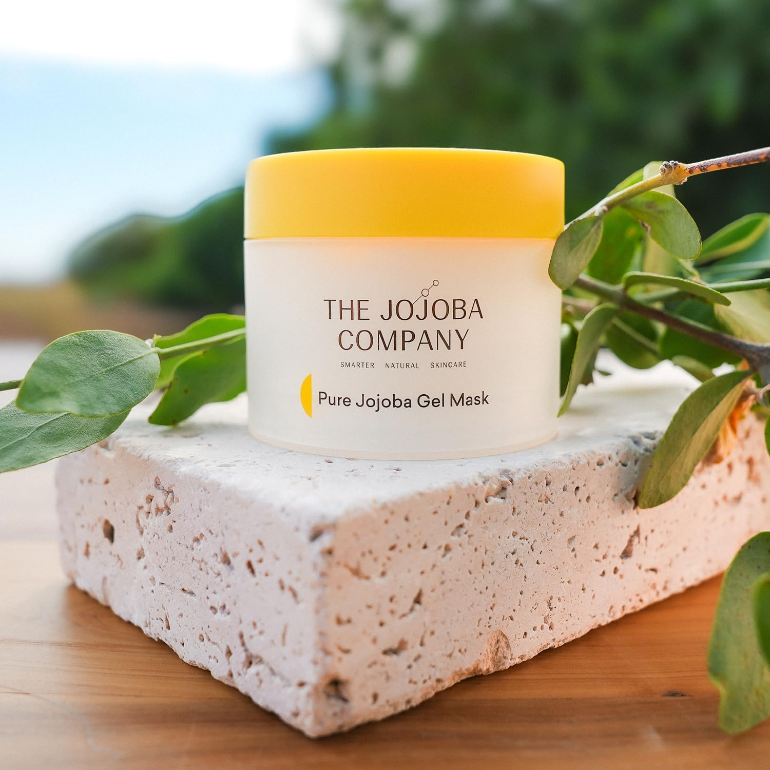 Jojoba Pure Gel Mask with Jd Lusteris Hydrating Overnight Face Mask for Dry & Sensitive Skin 3.4Oz