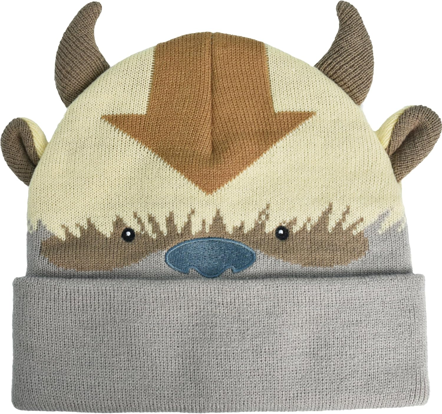 Avatar the Last Airbender Knitted Winter with Cuff Beanie Hat, Multi, One Size