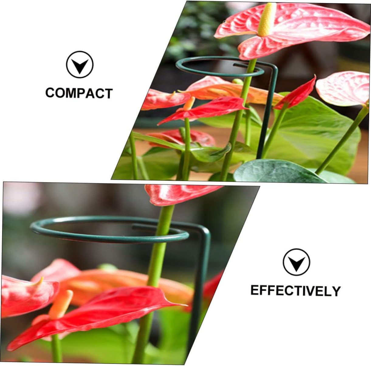 Yardwe Flower Support Stakes Pack Plant Supports for Climbing Stems Gardening Tool image number 6