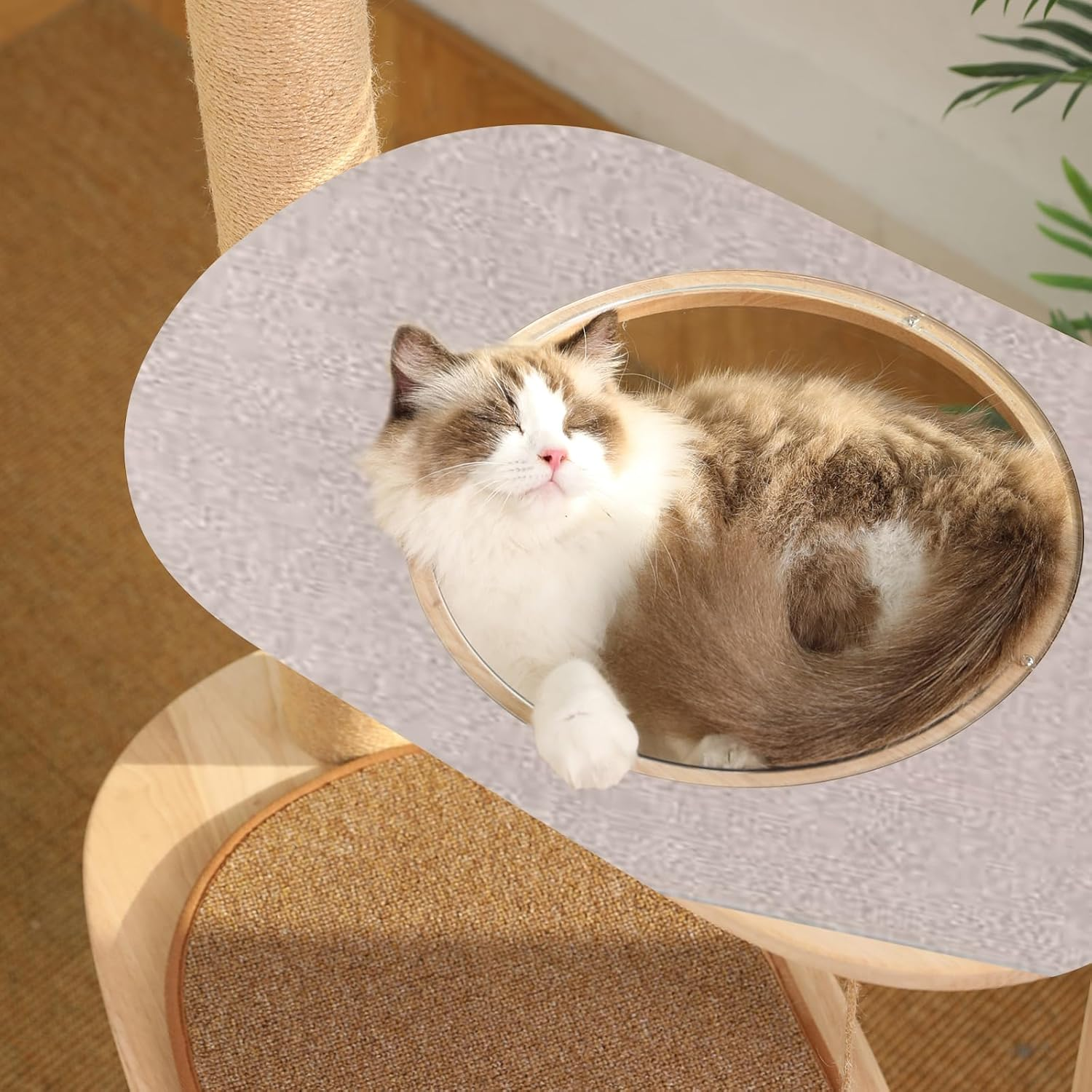 SPORWAY Pack of 2 Cat Scratching Mat, Cat Scratching Boards, 40 Cm X 100 Cm, Cat Scratching Mat, Cat Scratching Board Scratching Mat for Protects Carpets and Sofas image number 3