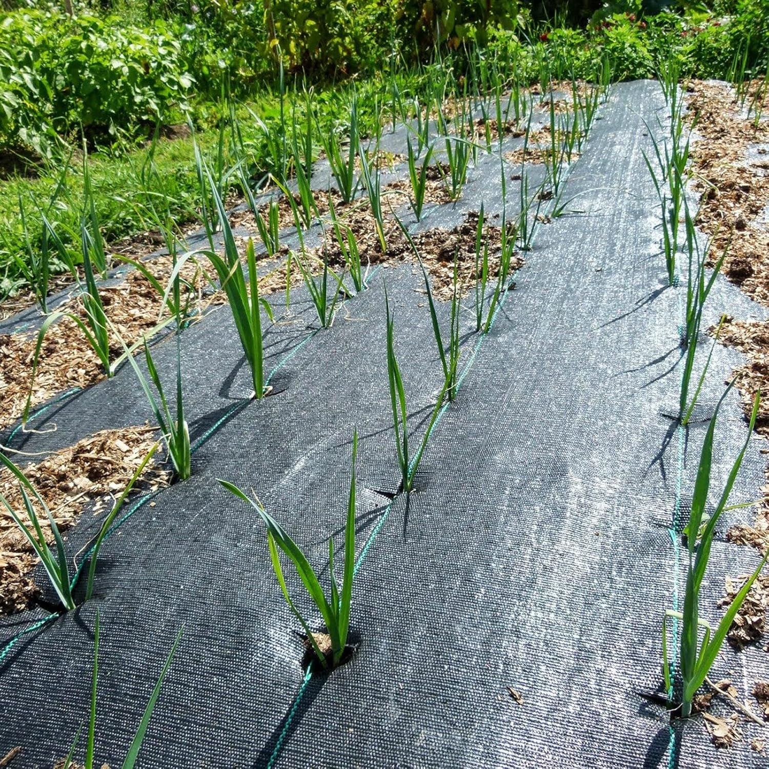 Weed Barrier Landscape Fabric Heavy Duty 6FT X 100FT Premium 3.2Oz Ground Cover Landscape Fabric Gardening Mat,Woven Geotextile Fabric for Underlayment,Commercial Driveway Fabric image number 3