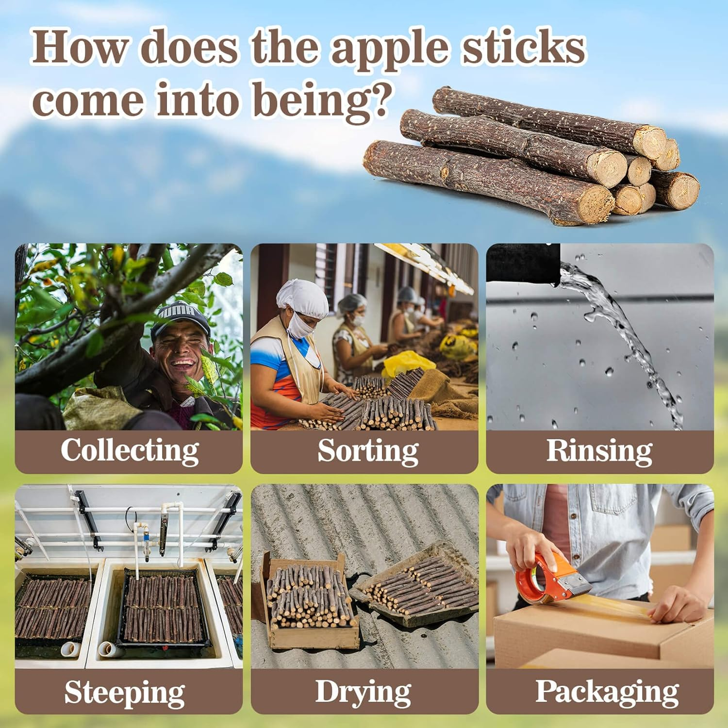 Sukh Apple Sticks - Pet Chew Toys for Rabbits Chinchilla Guinea Pigs image number 3