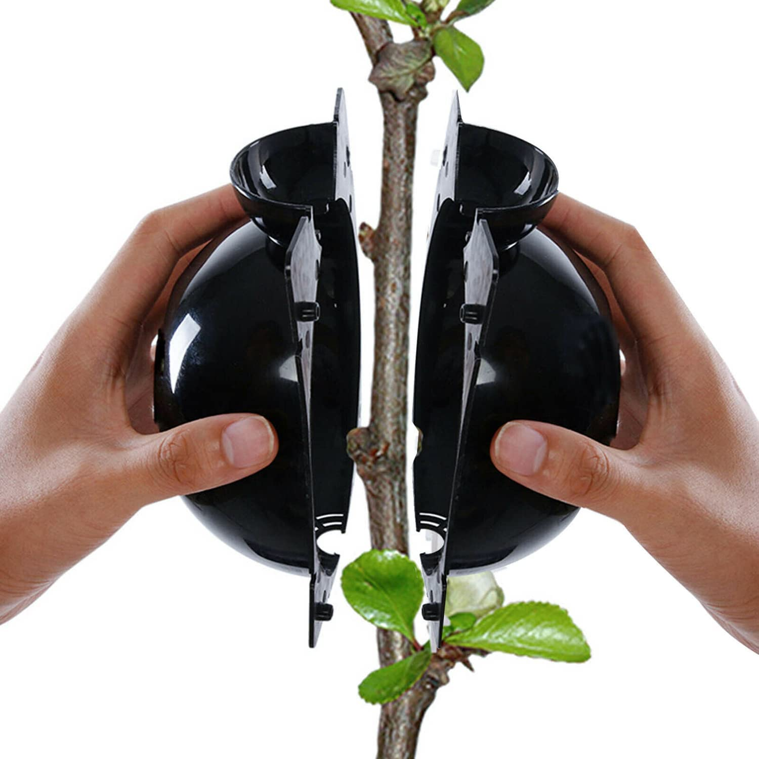 10Pcs Plant Rooting Device High Pressure Propagation Ball Root Grow Grafting Box Rooter Box S/M/L (M) image number 2