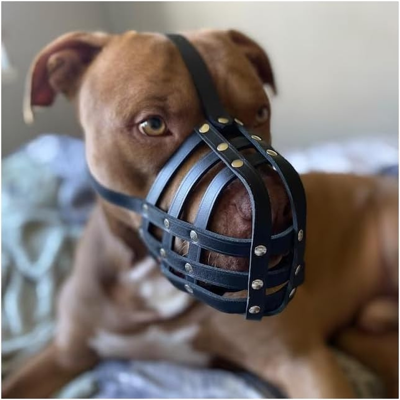 Genuine Leather Dog Muzzle for American Bully, Bully XL and Other Similar Snout (Brown Leather, AB4) image number 4