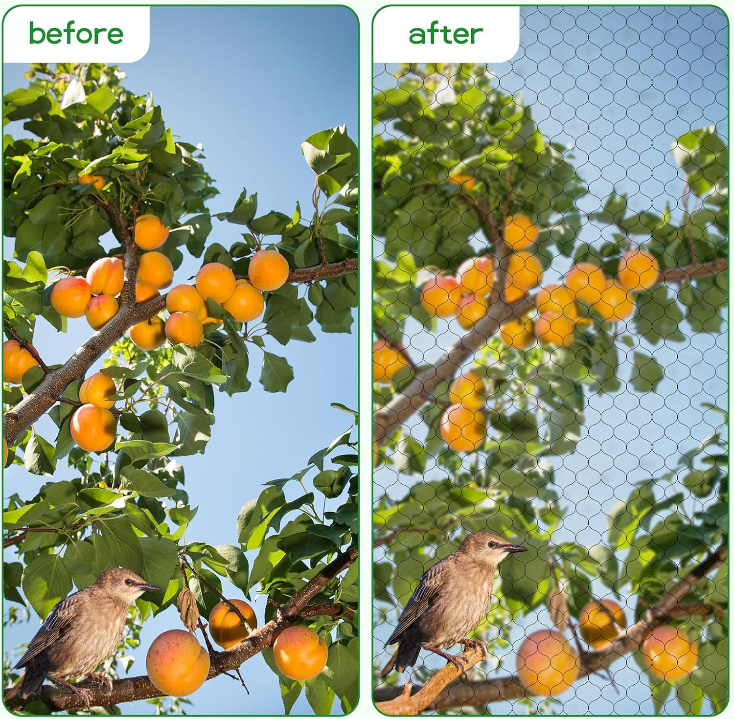 Bird Netting for Garden,Poultry Nylon Mesh Net Netting,Multi-Purpose Fruit Tree and Plant Protection Netting，15 * 7M Bird Netting (Black) image number 5