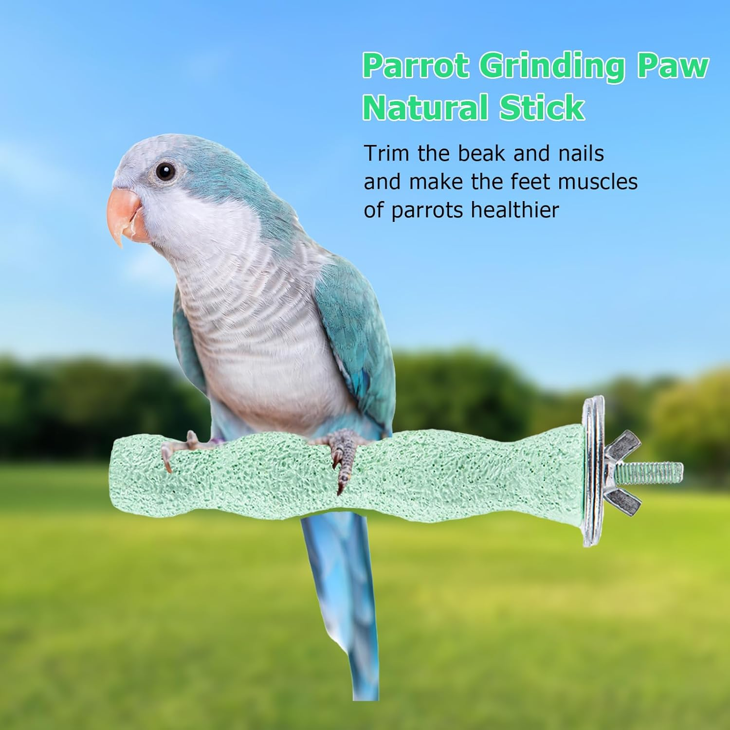 Bird Cage Perch Stand & Chewing Stick, Natural Paw Grinding & Beak Care Tool, Training Exercise Toy for Small Medium Birds: Budgies, Parakeets, Lovebirds, Conure, Cockatiels (Green) image number 5