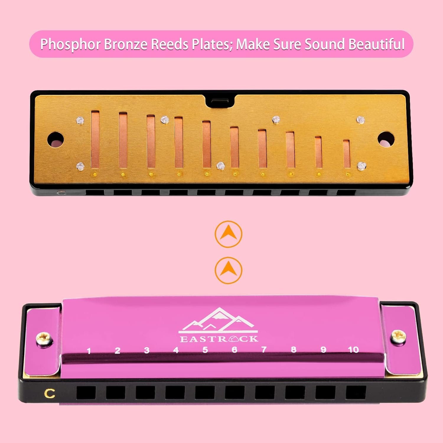 EASTROCK 10 Holes Blues Harmonica for Adults & Kids,Professional C-Key Blues Harp Mouth Organ with Case,Beginner, Students Gifts, Pink - Bronze image number 3