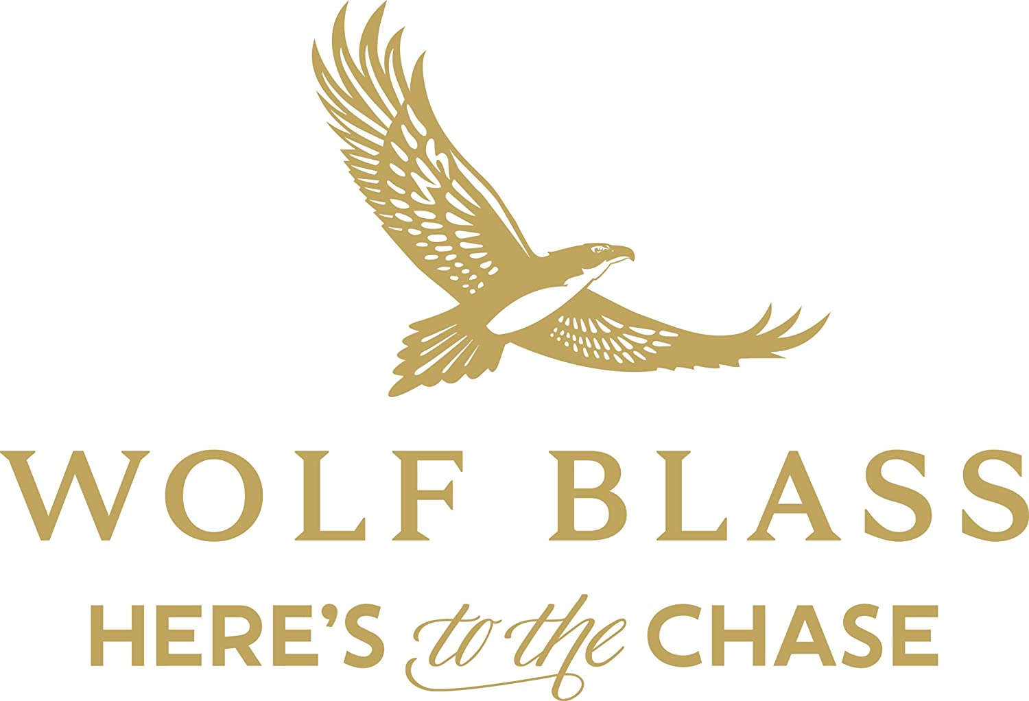 Wolf Blass Red Label Shiraz Cabernet Red Wine 750 Ml (Case of 6)