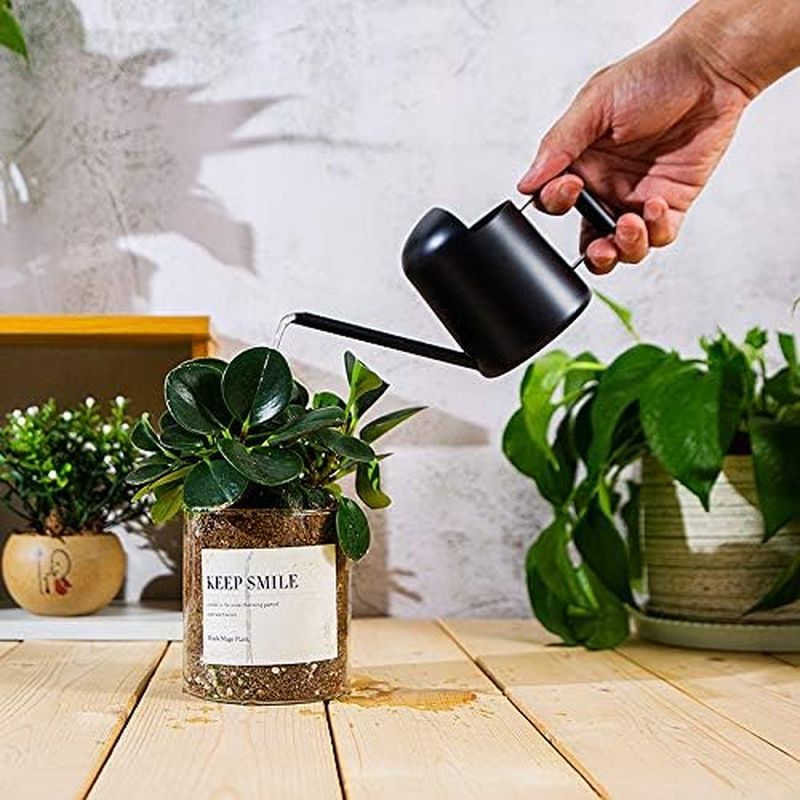 Mini Watering Can, 10Oz/300Ml Stainless Steel Long Spout Sprinkling Pot Small Watering Can for Plants, Garden Watering Pot for Indoor Outdoor Flowers, Succulents (Black) - Green image number 7