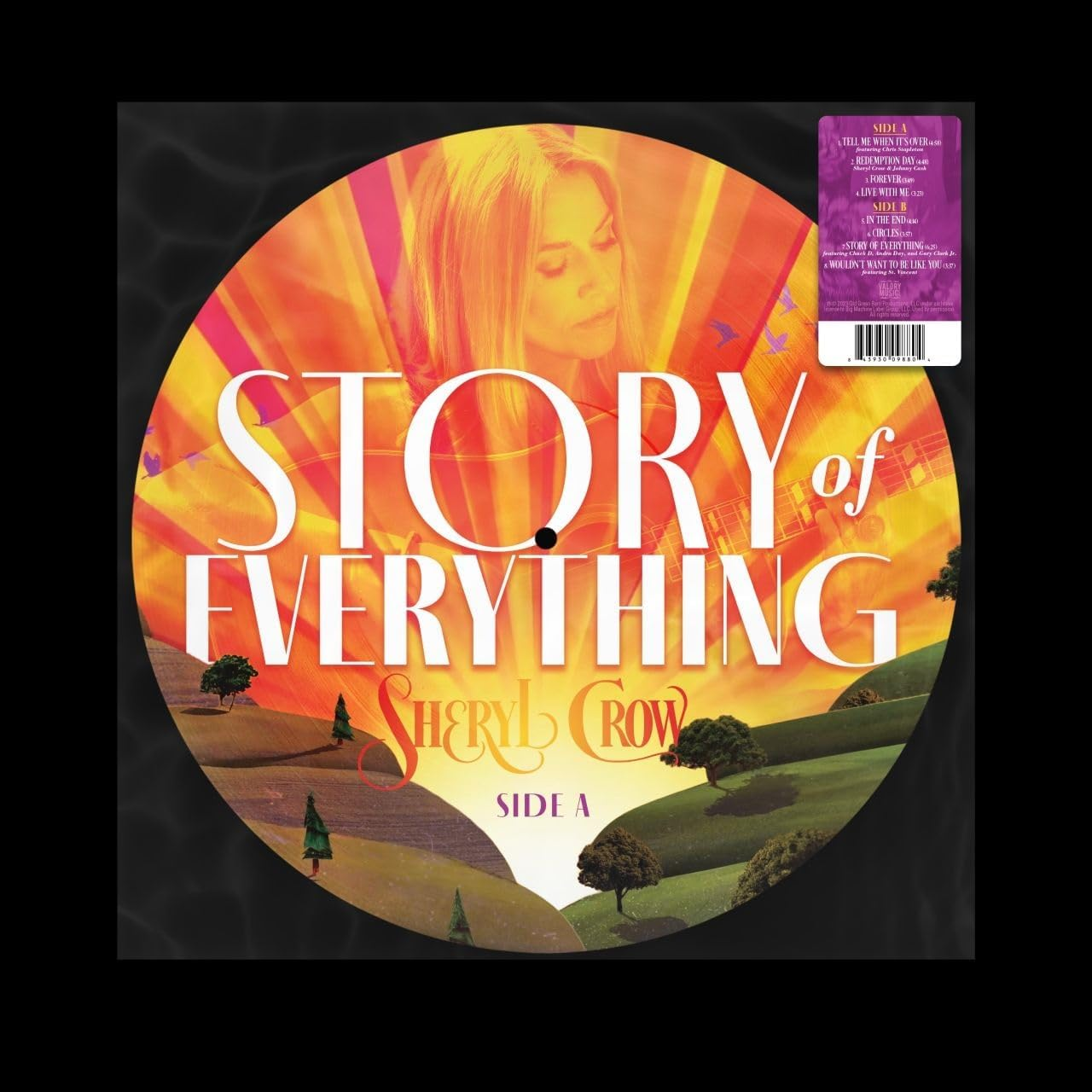 The Story of Everything (Picture Disc LP) image number 1