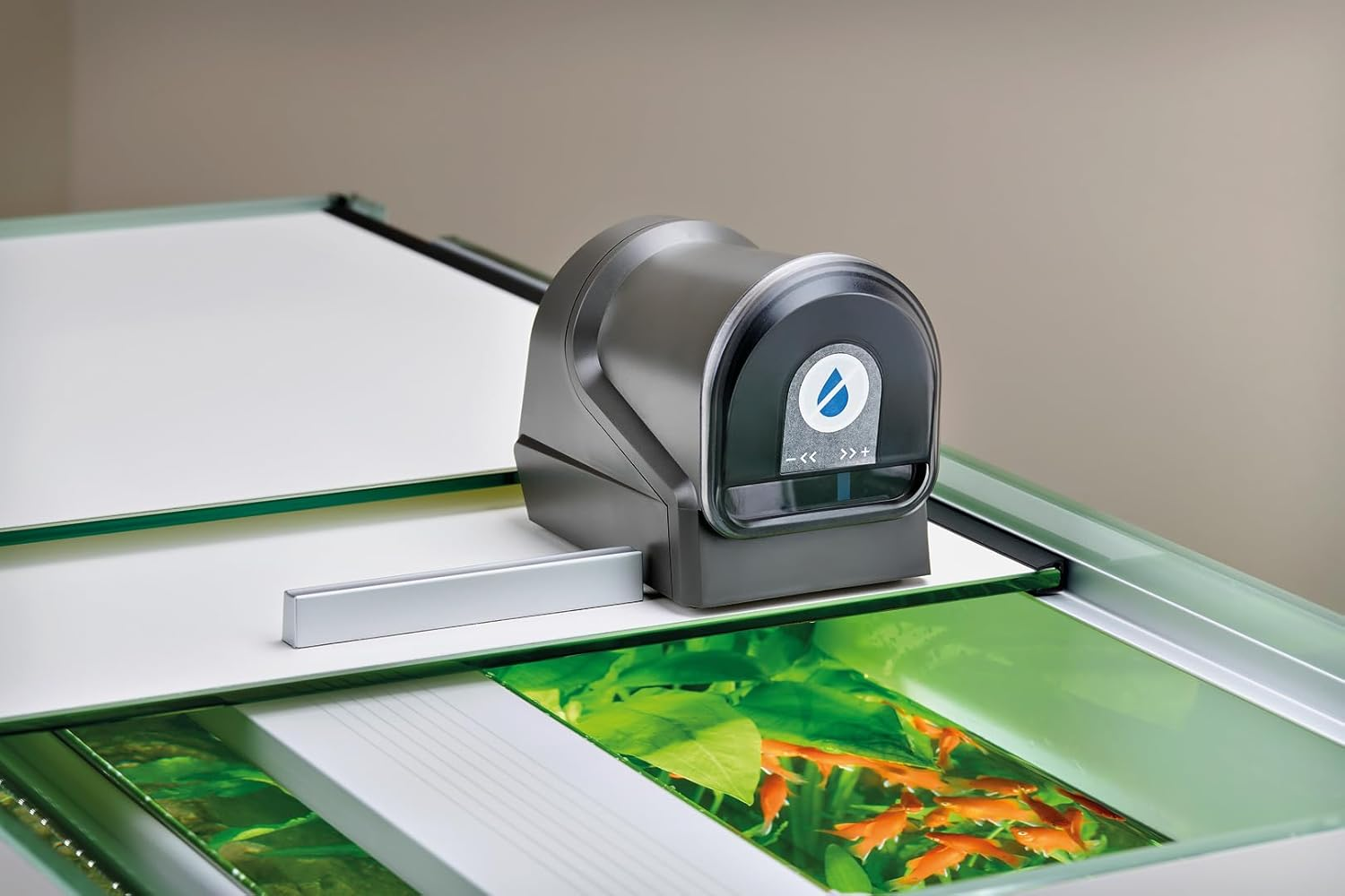 Oase Fishguard Aquarium Feeder