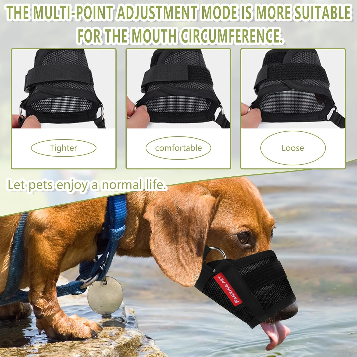Charming Club Adjustable Dog Muzzle for Small & Medium Dogs - Breathable Mesh Anti-Bite Mask with Hook & Loop Strap | Stops Barking, Chewing & Biting (Black, L) image number 2