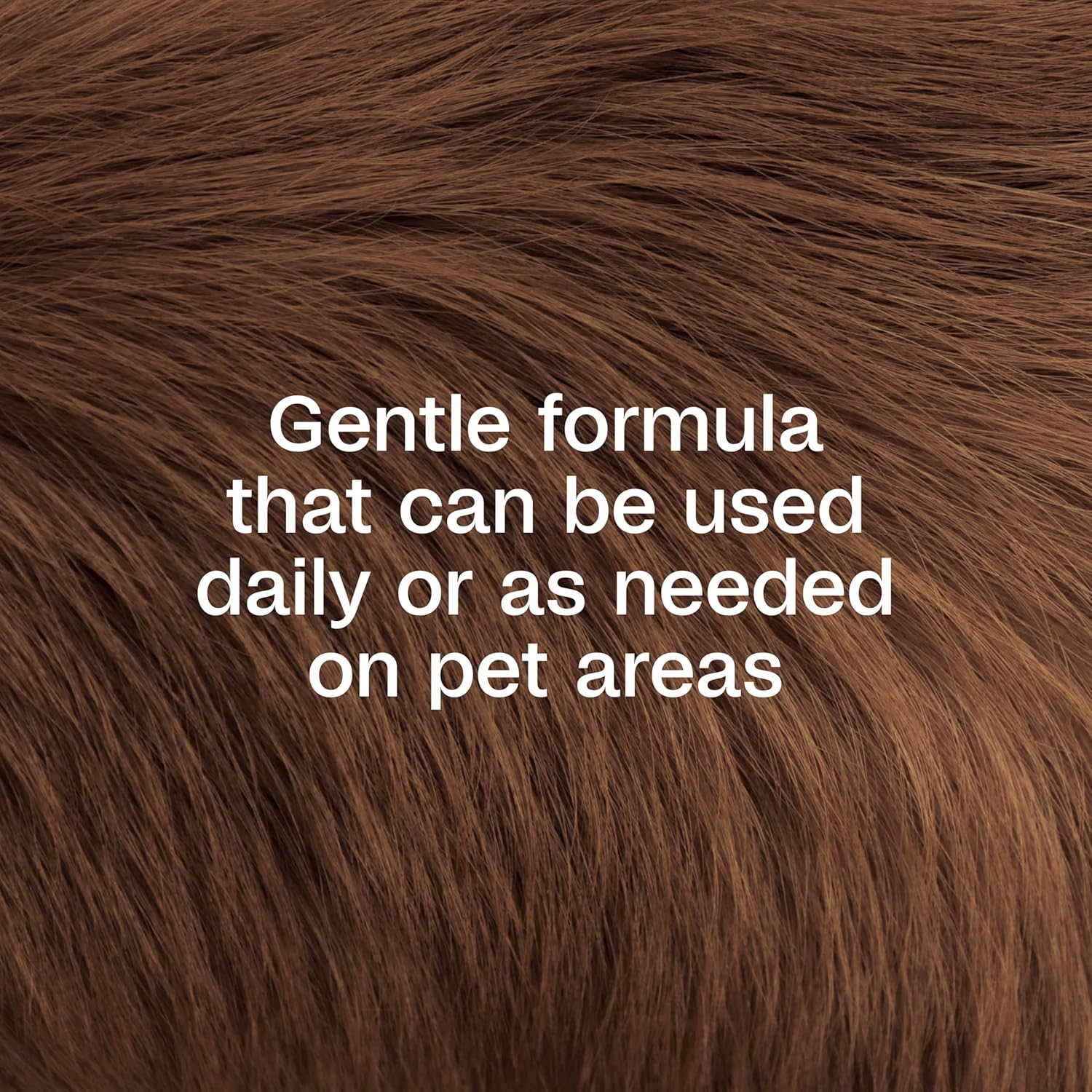 Adams Botanicals Flea and Tick Pet and Home Spray, Kills Fleas and Ticks; Plant-Based Protection with Essential Oils; Controls Fleas and Ticks in Pet Bedding; 16 Ounces image number 2