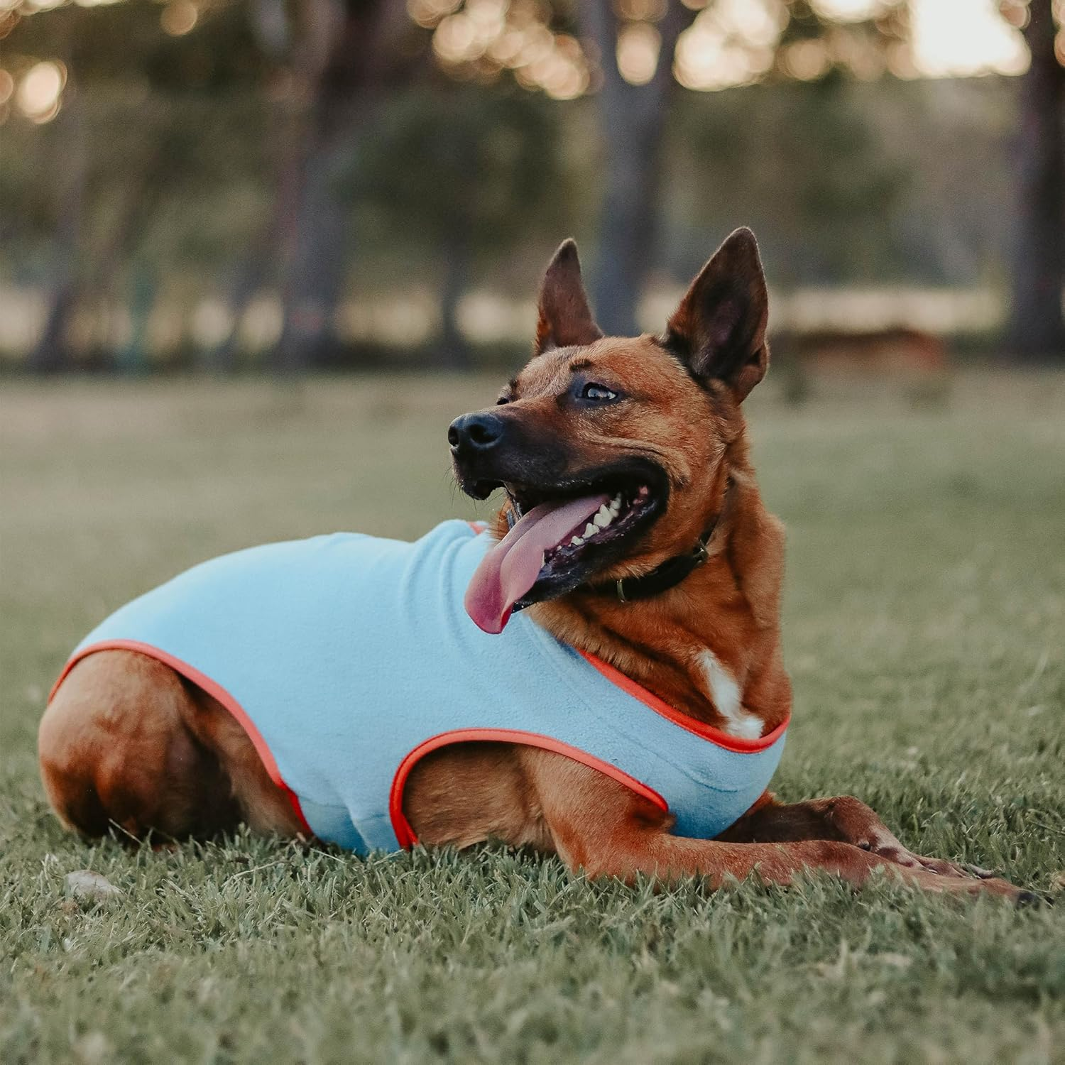 Huskimo Dog Coat Chill Blue 40Cm &ndash; Soft Microfleece Dog Jacket with Subzero Temperature Control Fabric, Dual Zip & Velcro Adjustments, Machine Washable image number 2