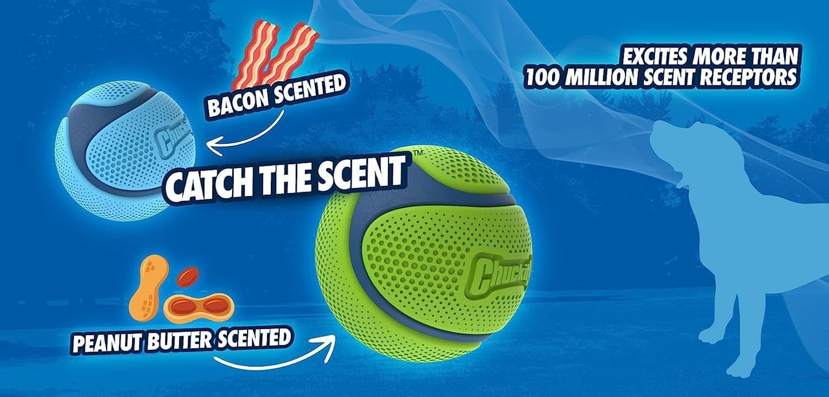 Chuckit! Sniff Ball Dog Toy, Durable High Bounce Peanut Butter Scented Rubber Dog Ball Fetch Toy, Medium, 1 Pack image number 6