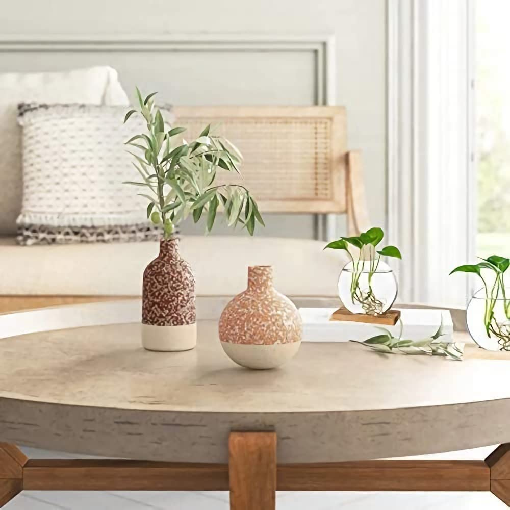 Kingbuy Desktop round Glass Planter Terrarium Flower Vase with Wooden Stand for Propagation Small Hydroponic Plants Home Office Decor, 2 Pack, Brown - Beige image number 7