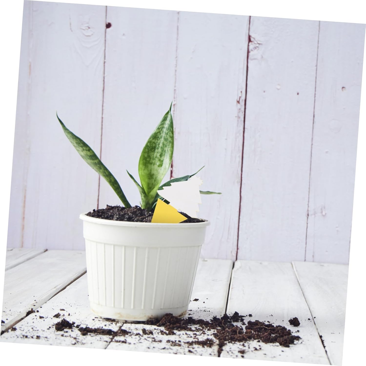 Garden Sticky Boards 30Pcs Bug Catching Plant Fly Sticky Traps Outdoor Use image number 5