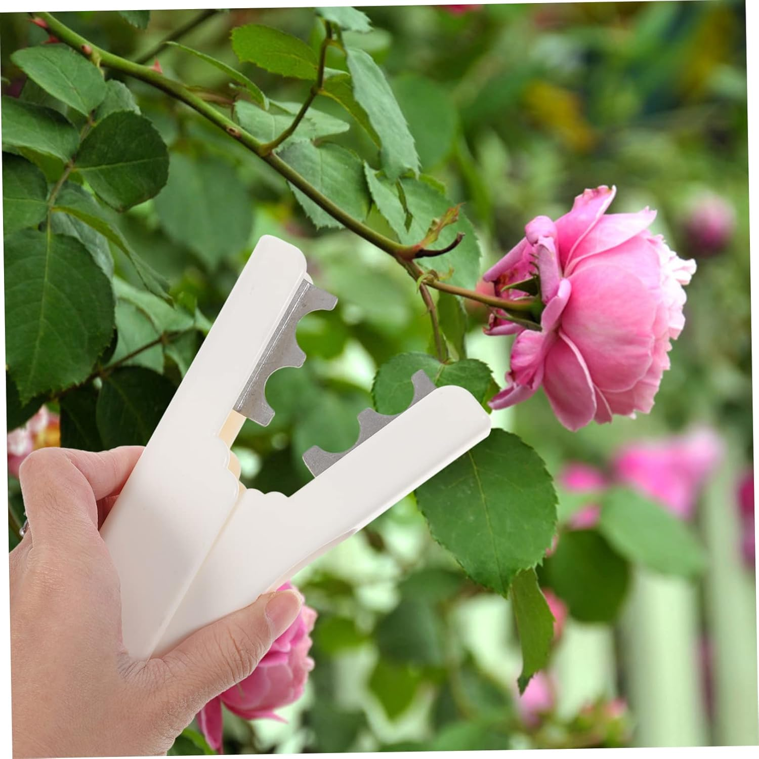 GALPADA Flower Punching Pliers Rose Thorn Stripping Tool Flower Bouquet Packaging Supplies Gardening Rose Thorn Stripper Thorn Remover Tools Flower Cutting Machine Miss Abs White Deburring image number 4