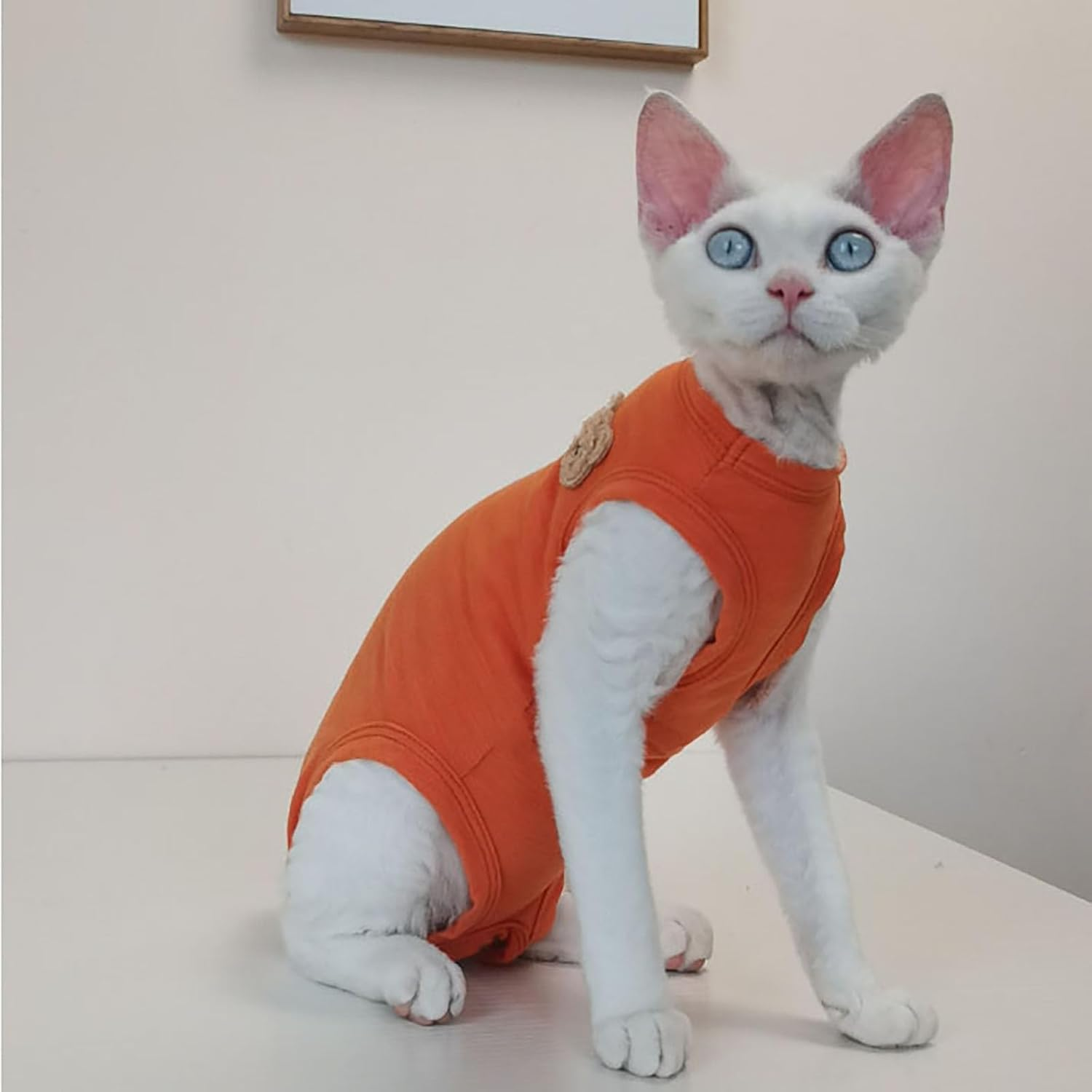 IUOUTG Hairless Sphynx Cat Clothes Breathable Four Leg Cotton Cat Pajamas Girl Kitten Pullover Vest Soft Boy Pet Clothes Kitten Shirts Cat Apparel for Cornish Rex Devon image number 3
