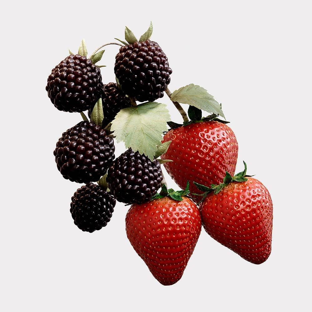 Burberry Women'S Elixir Intense Eau De Parfum Spray 50 Ml image number 4