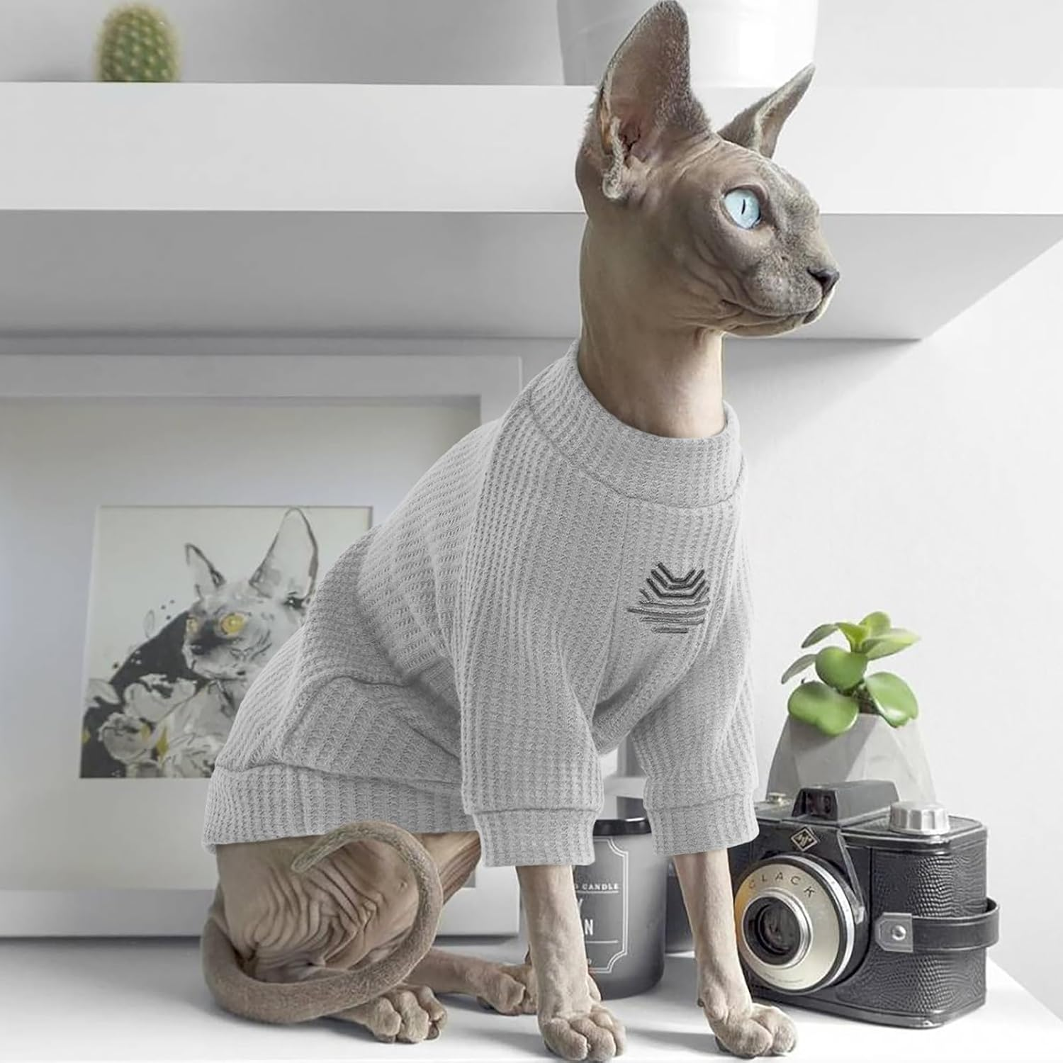 Iecoii Sphynx Cat Clothing, Hairless Cat T-Shirts, Cat Clothing Soft Cotton Cat Shirts for Cats Only, Jumper Cat Jumper Vest with Sleeves, for Sphynx, Cornish Rex, Devon Rex, Peterbald