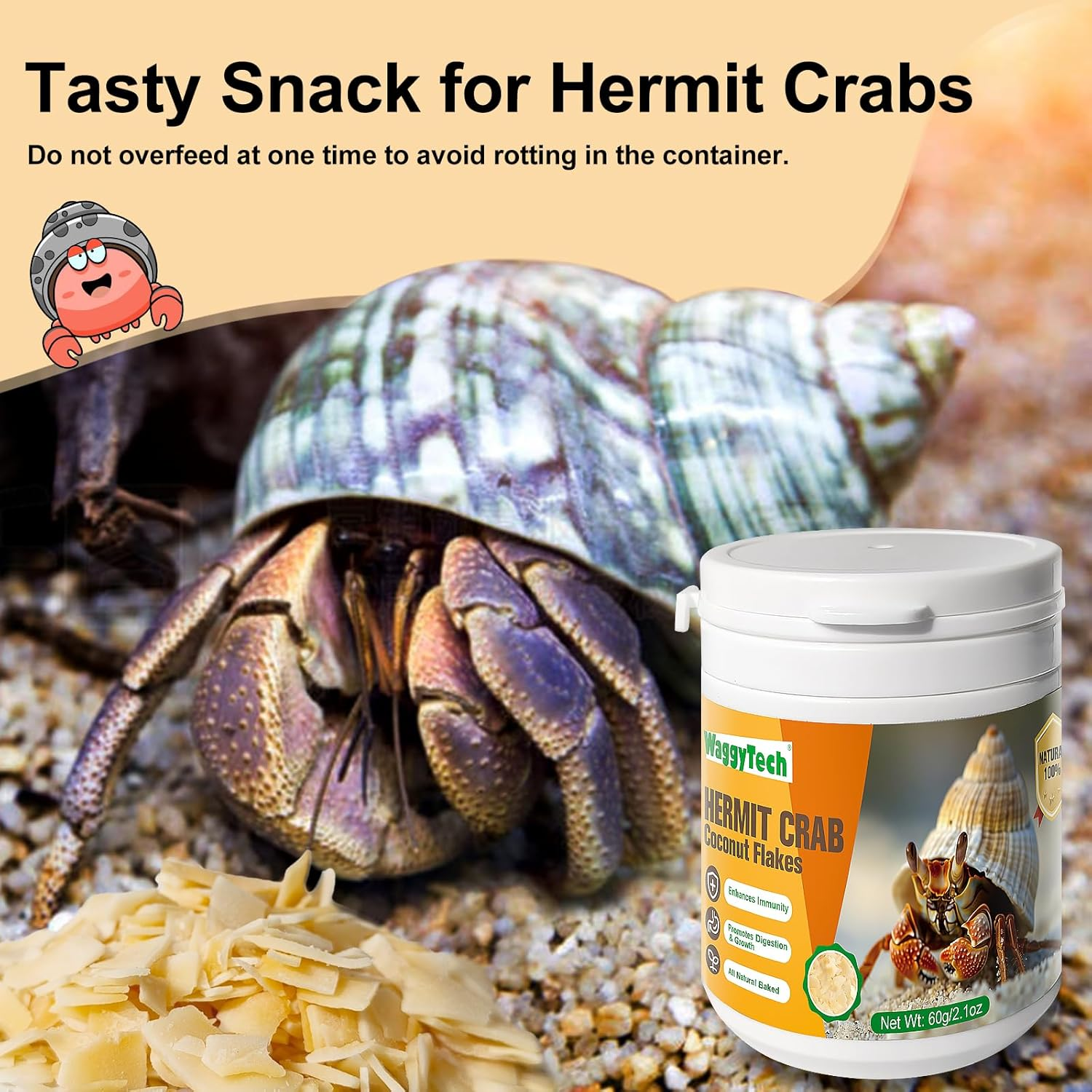 Hermit Crab Food - Baked Coconut Treat, Natural Dried Coconut for Crab Healthy & Additive Free, Easily Digestible Hermit Food Hermit - Ideal Crab Pet Snacks, Crispy & Delicious | 60G (Large) image number 5