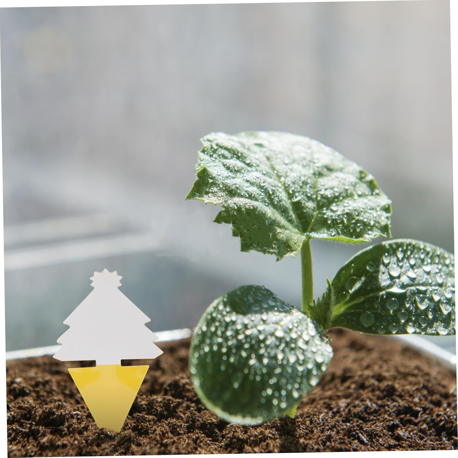 Garden Sticky Boards 30Pcs Bug Catching Plant Fly Sticky Traps Outdoor Use