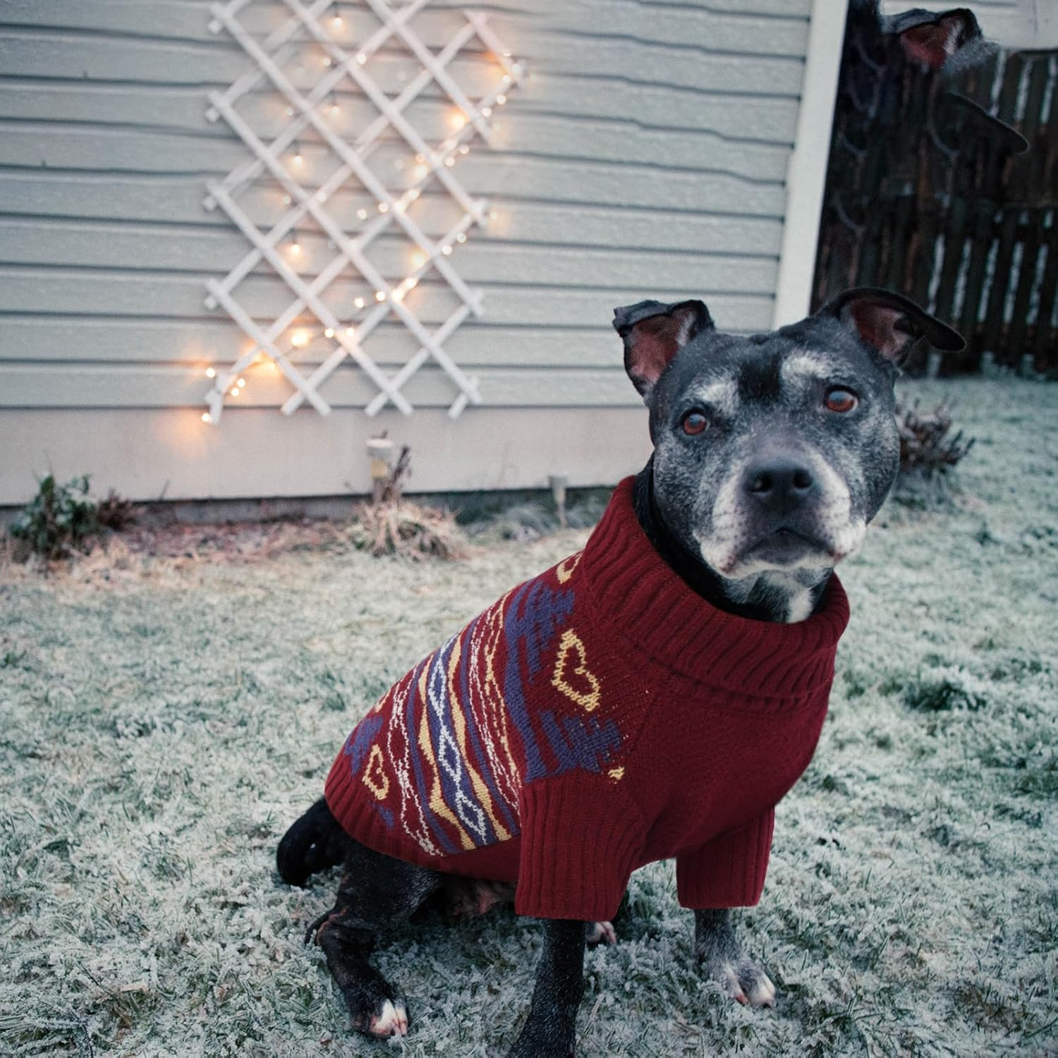 Dog Cat Sweater, Turtleneck Dog Jumper Pullover Soft Winter Dog Coat Warm Puppy Cat Clothes Knitwear Apparel Snowflake Pattern Dog Winter Clothing Outfits(Red, M) image number 7